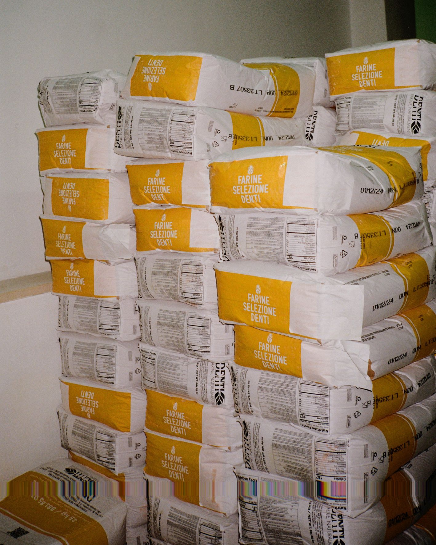 Mio padre_Domingo_Nardulli 