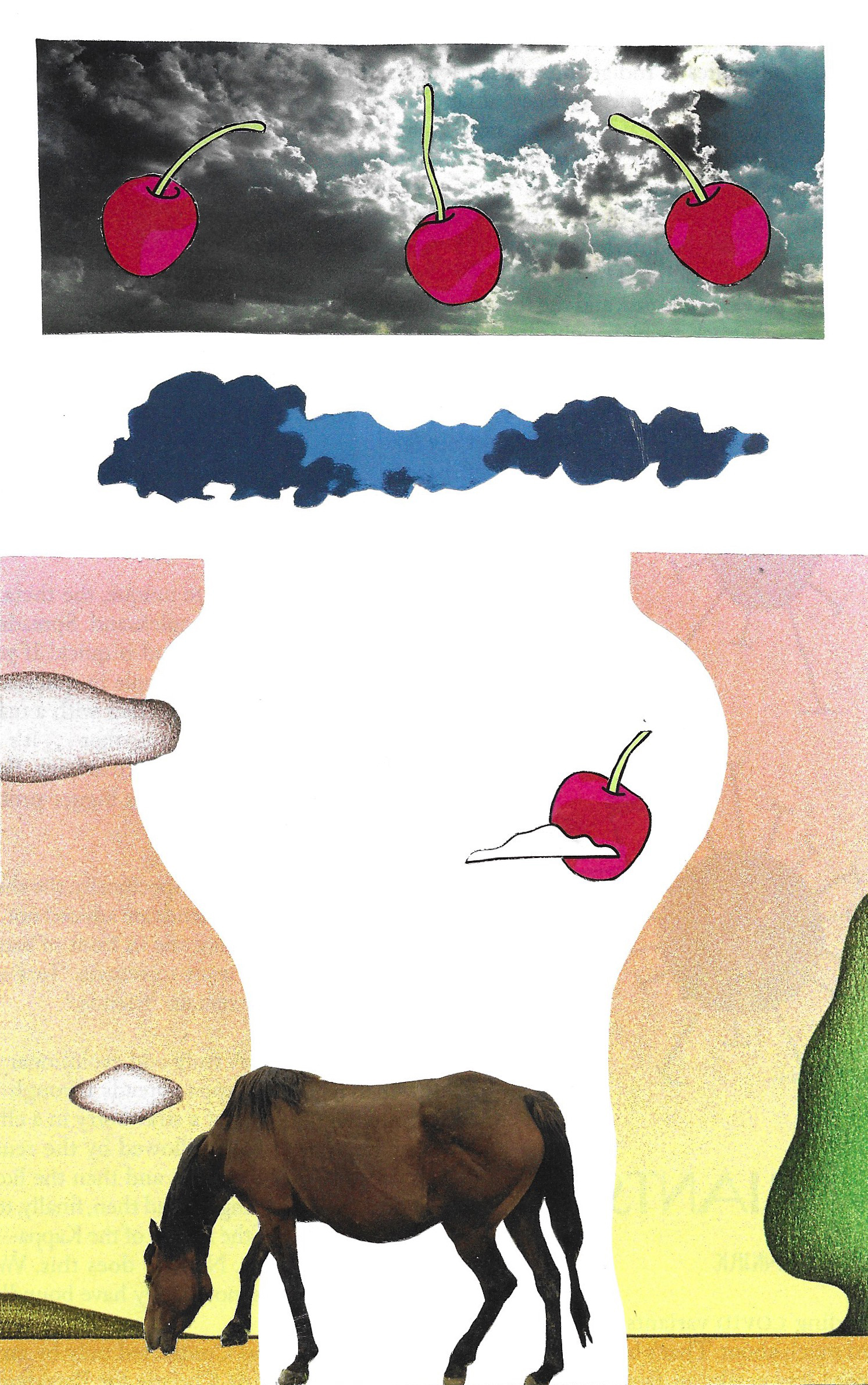 horse has cherry dreams