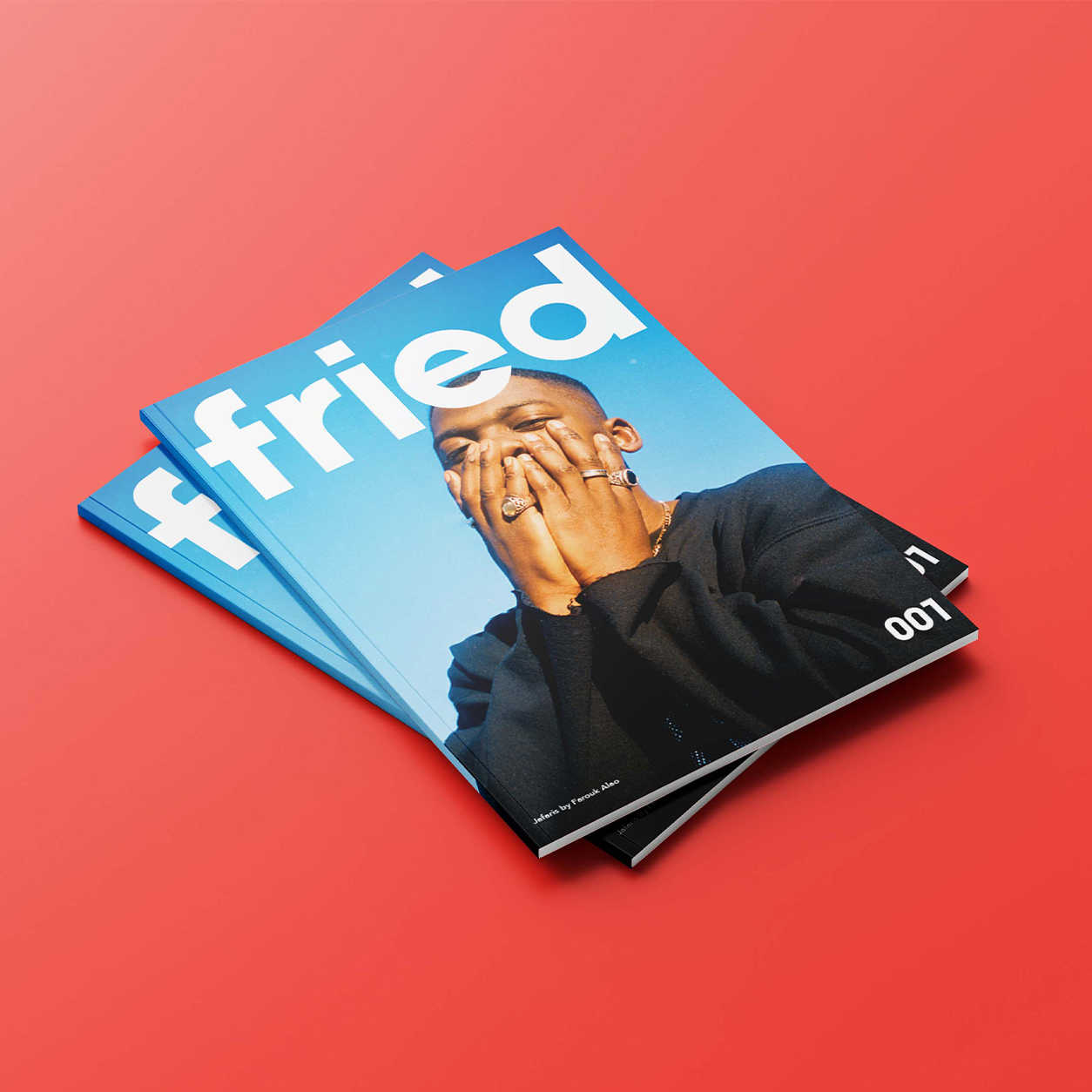 Fried Mag
