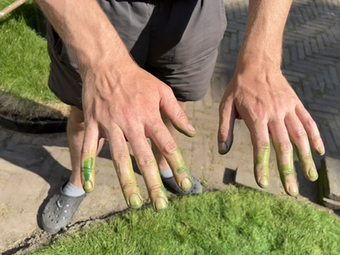 Watching the [Grass] Grow - Morris Bouwman