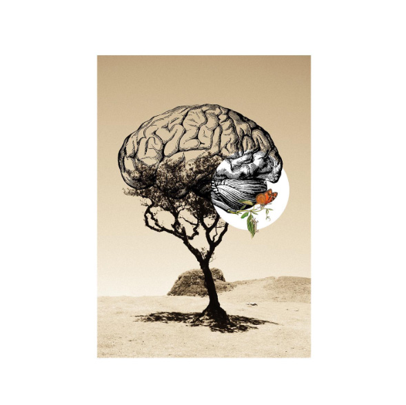 pedro_martinez_caravaca