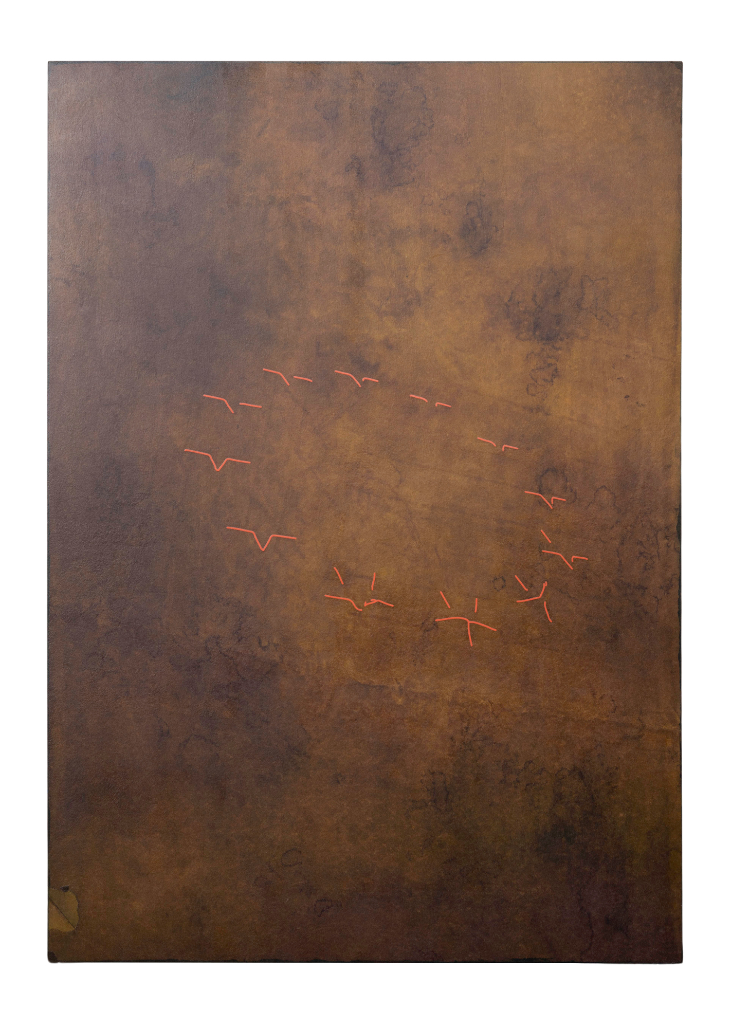 Print 019, 2019 Screen print on paper, laminated on fibre board, nut wood frame