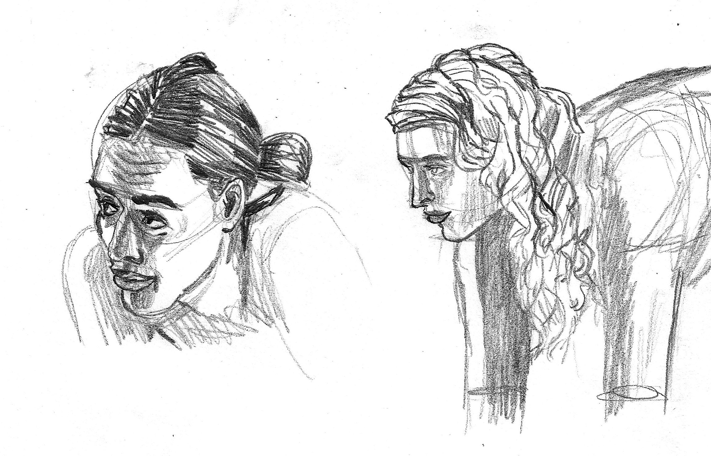 Hair and head studies, graphite