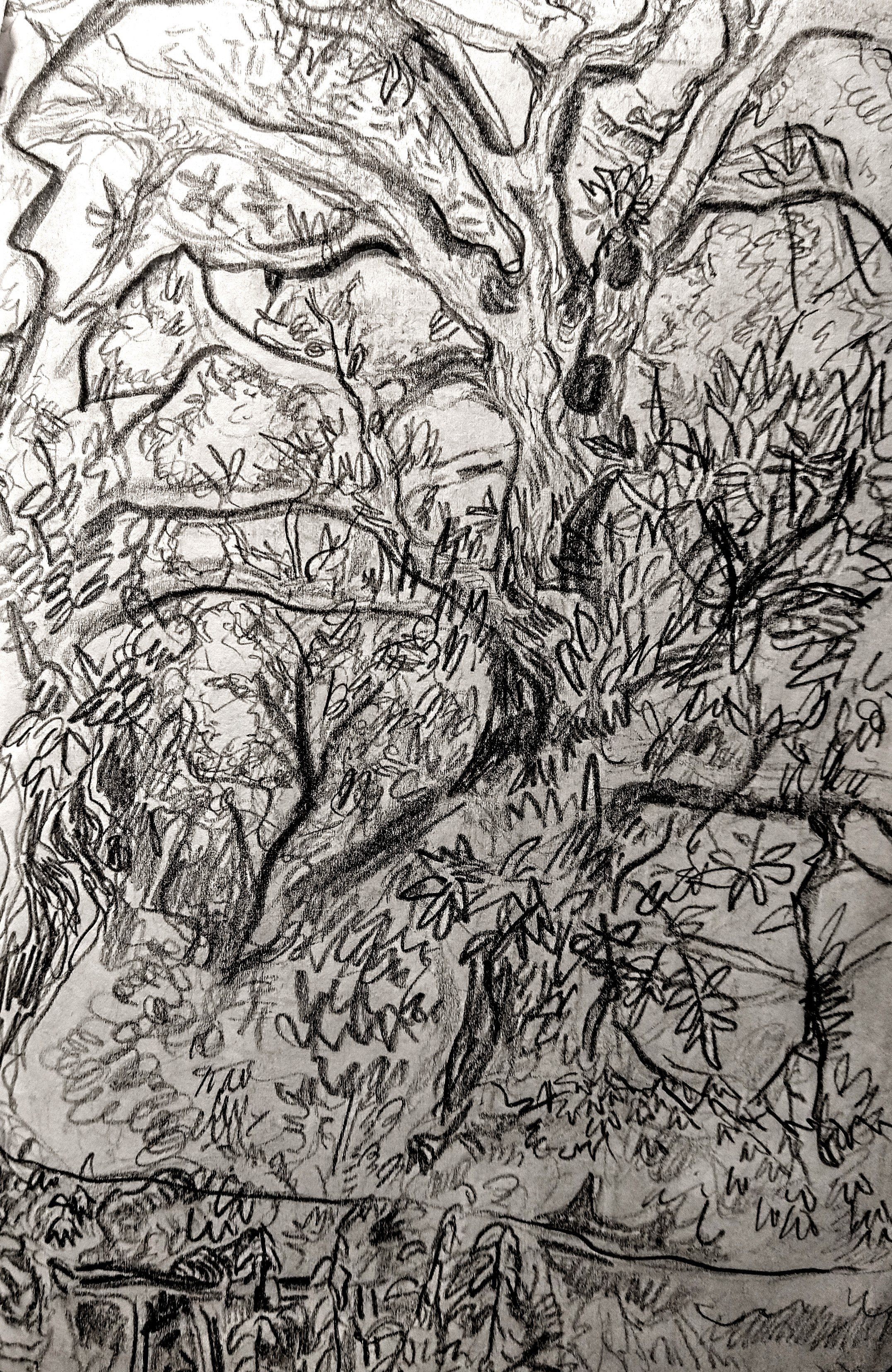 The tree at the garden at West Prince's Street