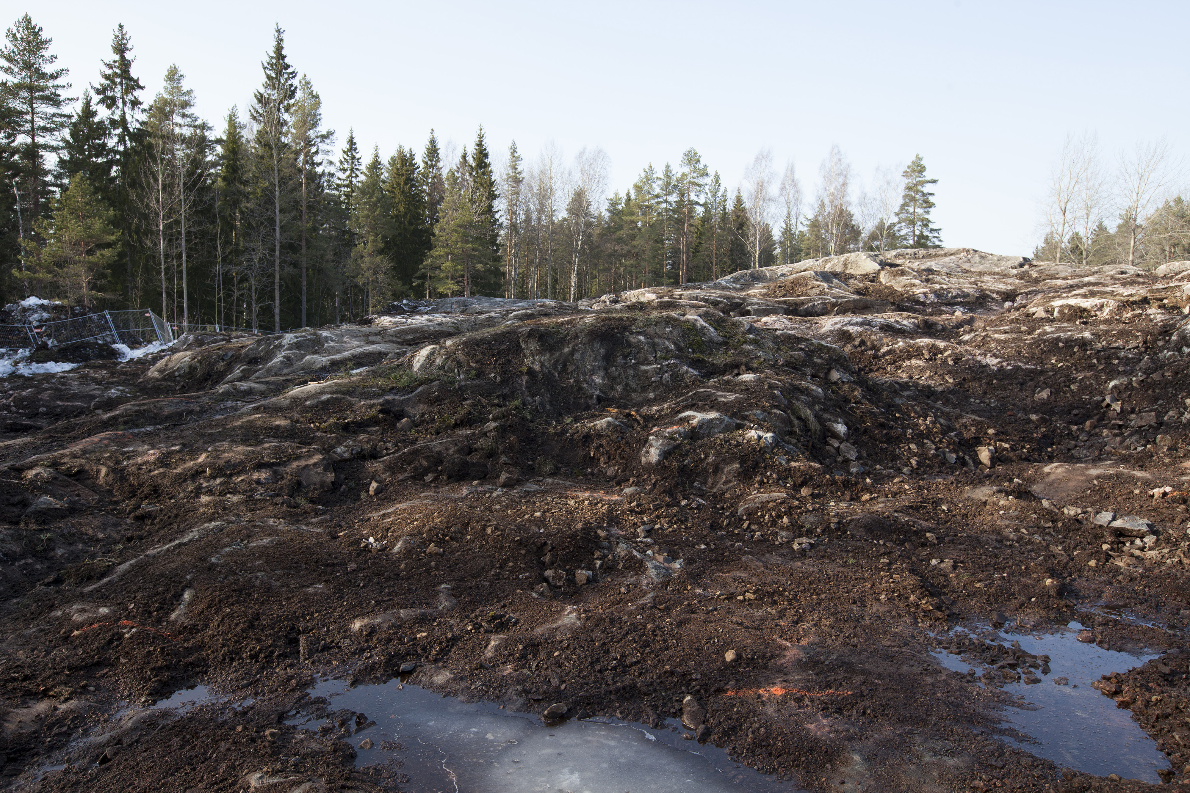 Noora Sandgren, Working with neighbor (s): Helsinki Central Park / Forest, 2021. When millions of years old ground rock was still there in Pirkkola forest, at the construction site of a new sports hall, the beginning of spring 2021, before “leveling” those unique forms and signs of ancient movements forming our terrain.