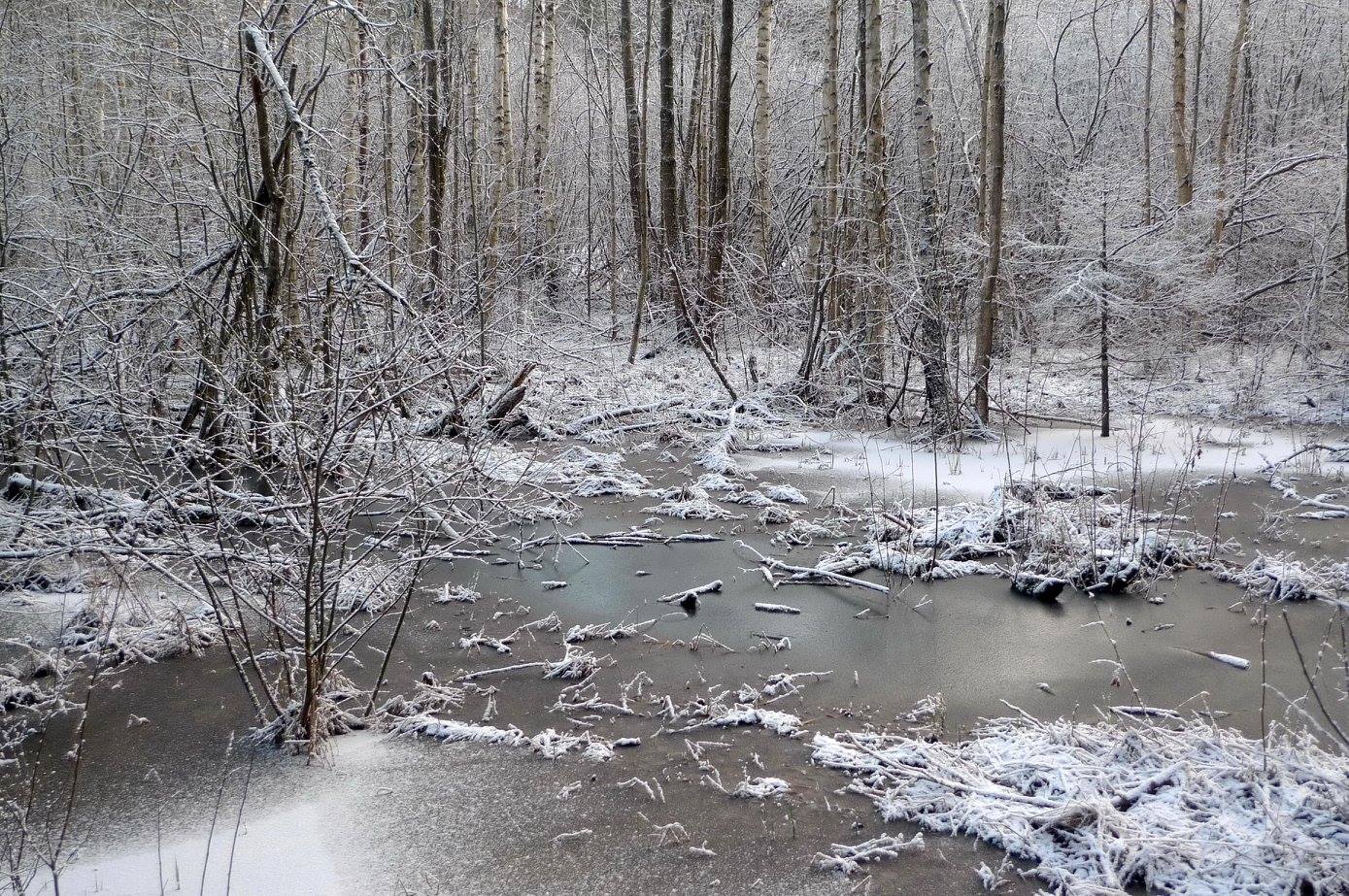 Ķemeri, January, 2017