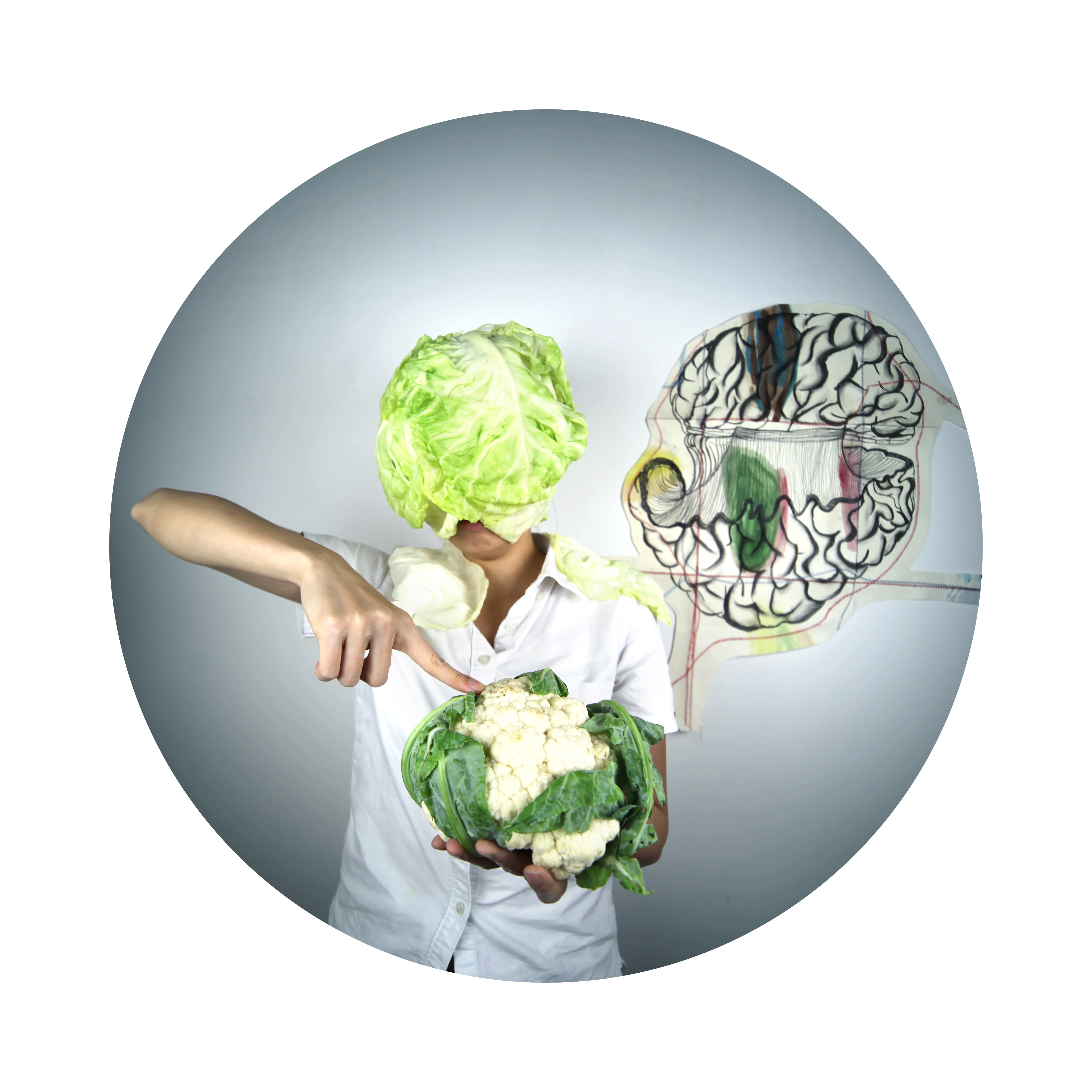 THE SURRENDER OF SWEET SATIRE