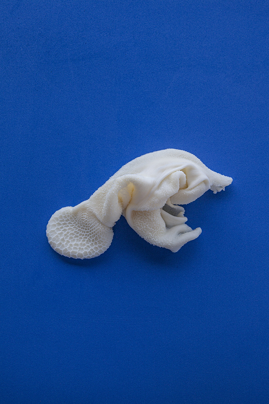 PHOTOGRAPHY BY RAF STUDIO FOR DISEGNO MAGAZINE