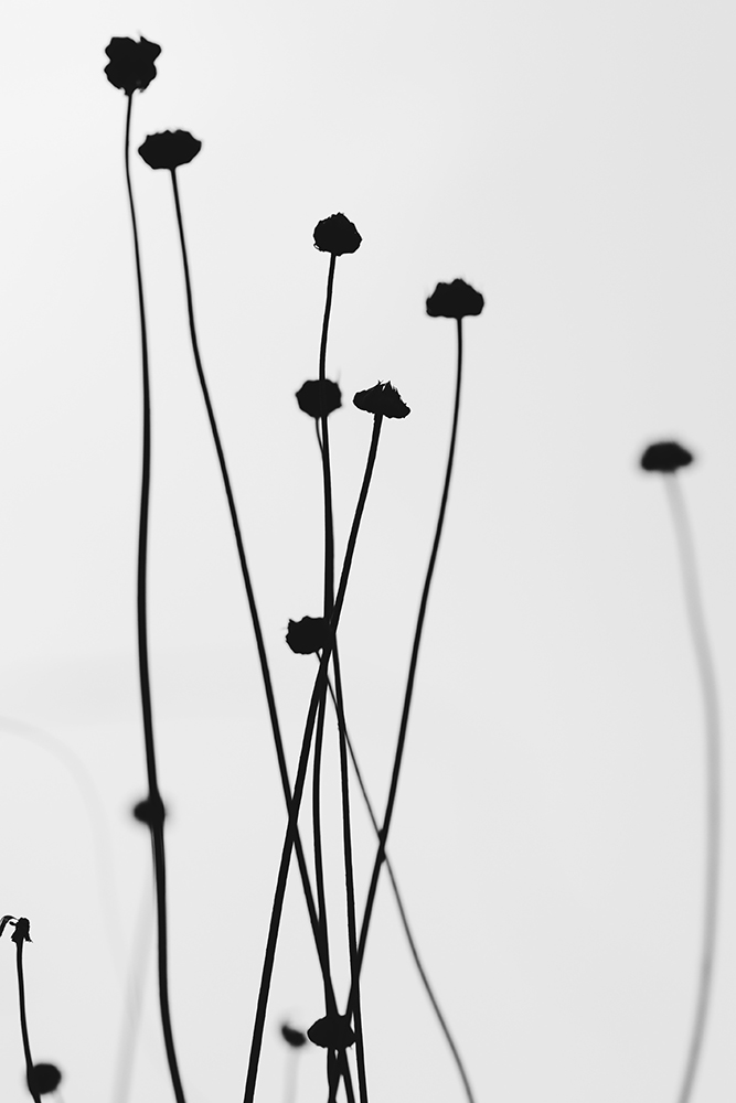 original image by Yapo Zhou