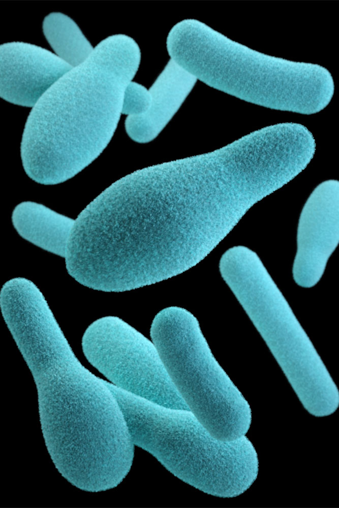 original image by CDC