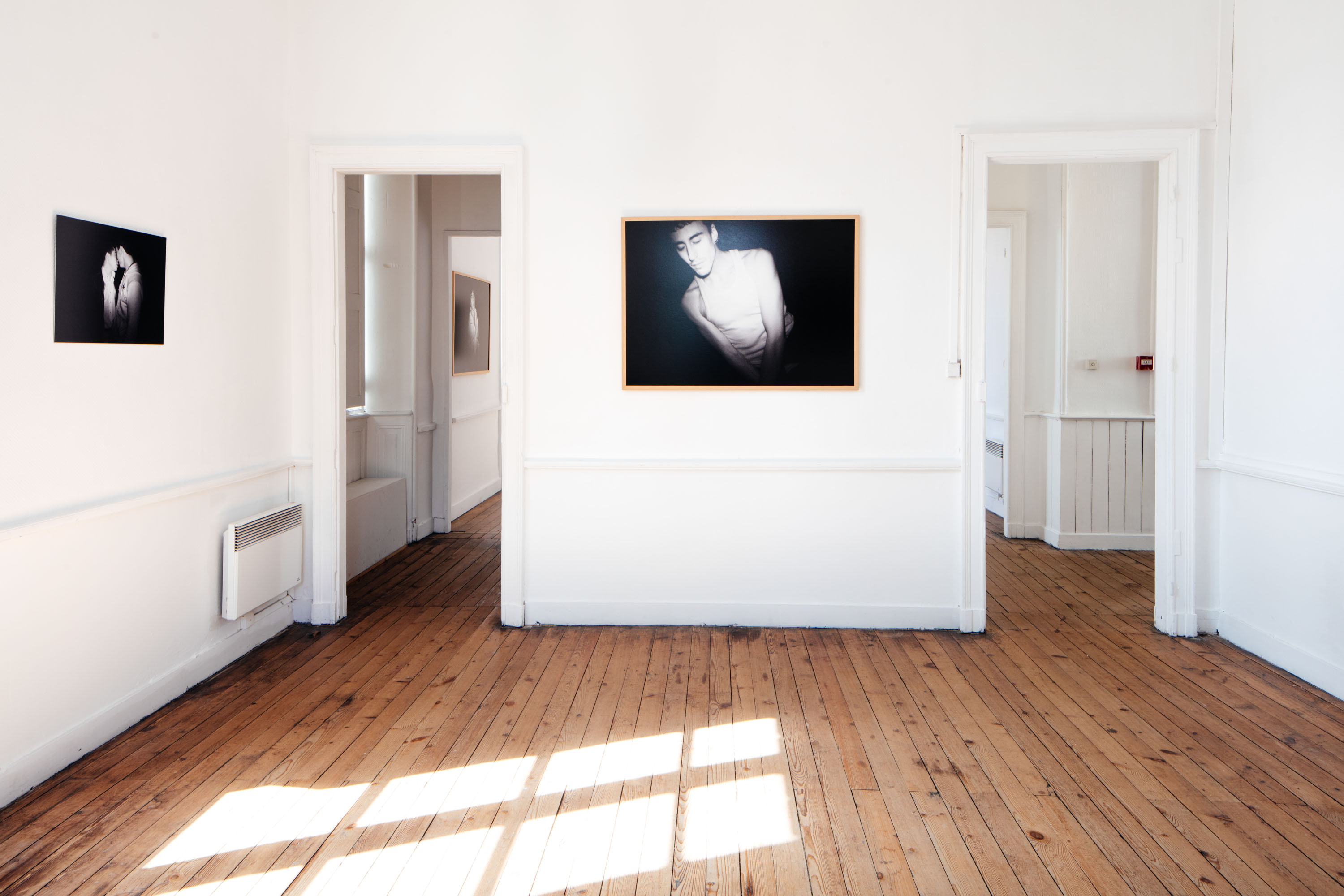 Festival QPN, Galerie du Rayon Vert, Nantes, 2017