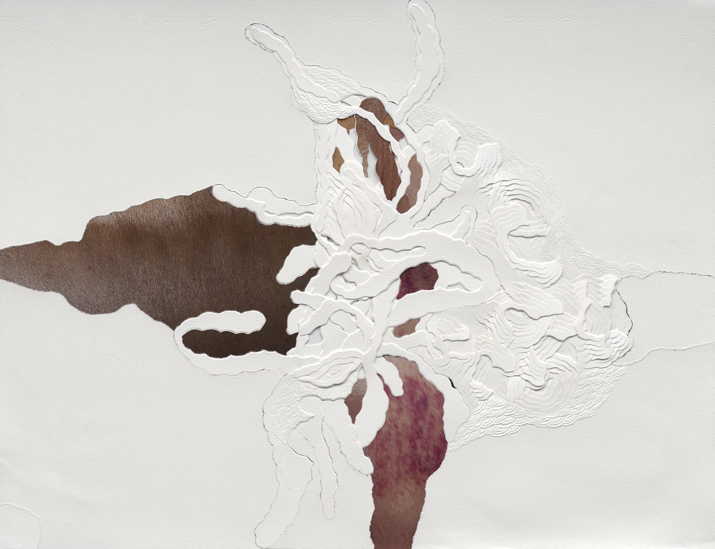  Untitled, 2010 . Cuts, carvings and embossing on paper and on photographs . 50 x 65 cm