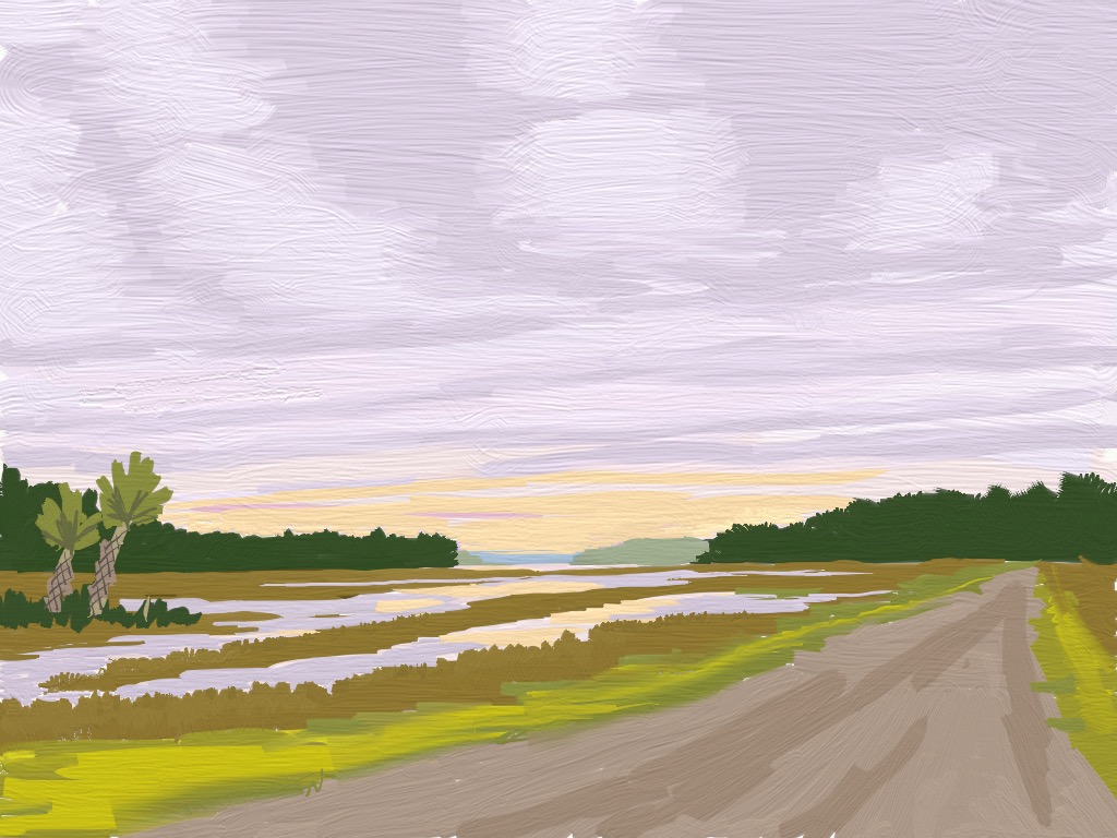 S1.42 - Pinkney island, SC