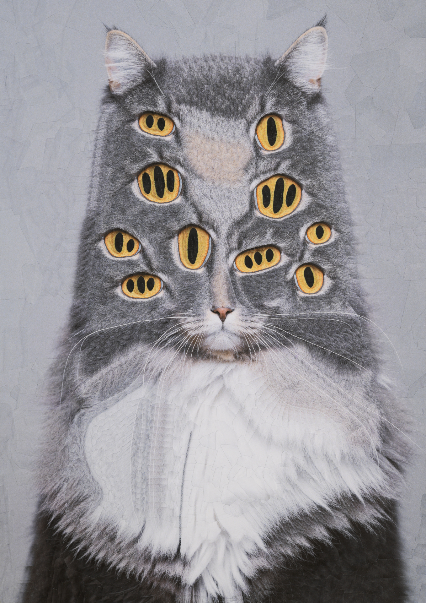 Scooter, 2023, 11.6 x 16.5 inches