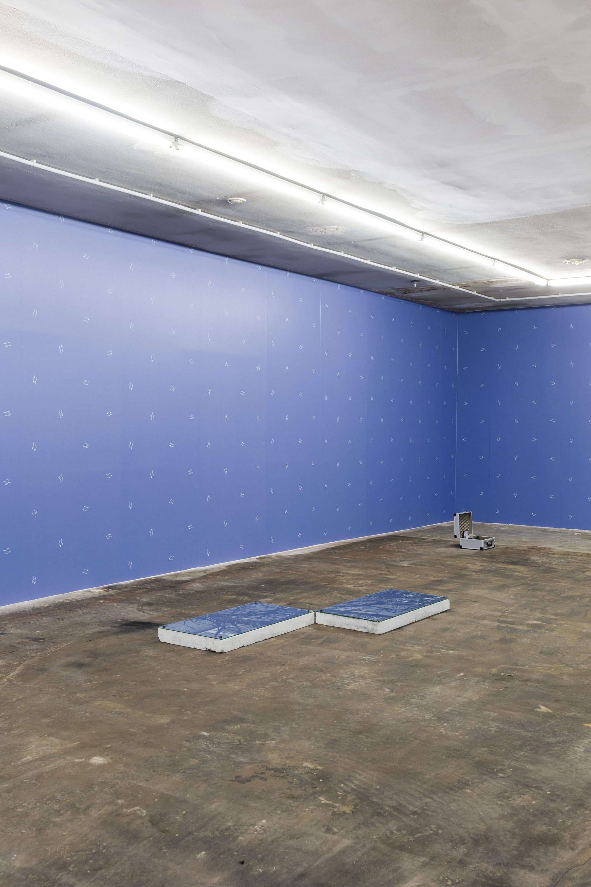 Stock : 1/4 – 107792391, 2018. (Installation view)