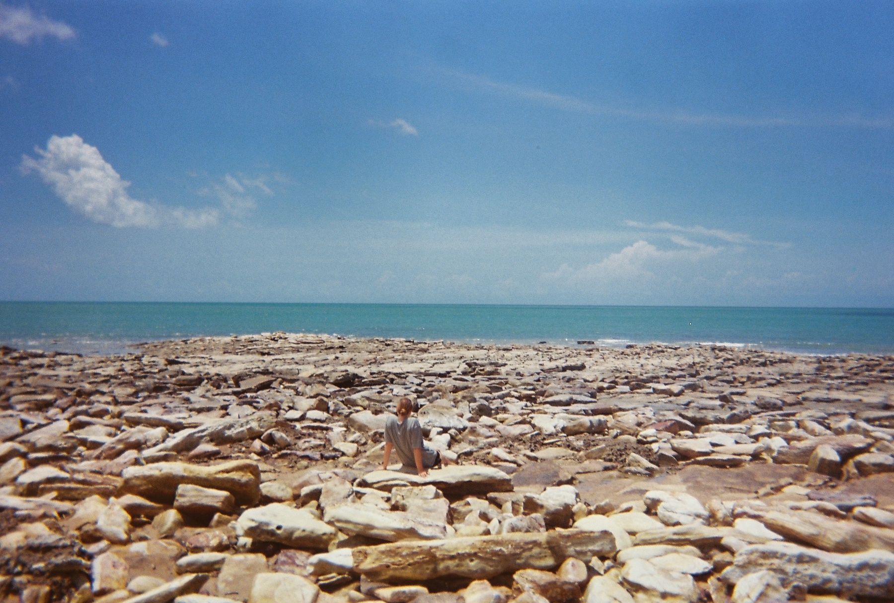Top of Darwin, Northern Terriority, Australia on a Mamiya U Silver Sekor 35mm.