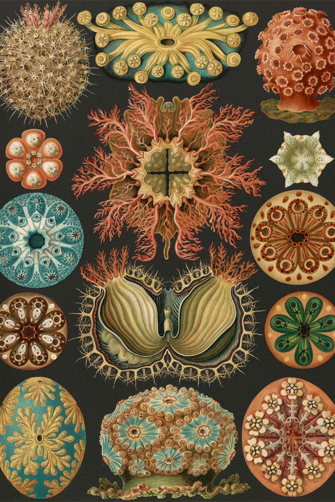 original image by Library of Congress