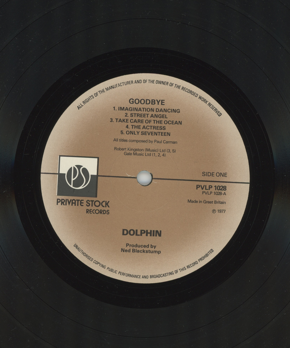Goodbye by Dolphin vinyl label PVLP 1028, composed by Paul Carman