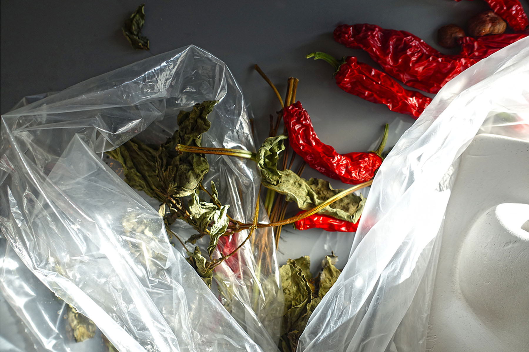 Beauty Papers Outtake, 2015