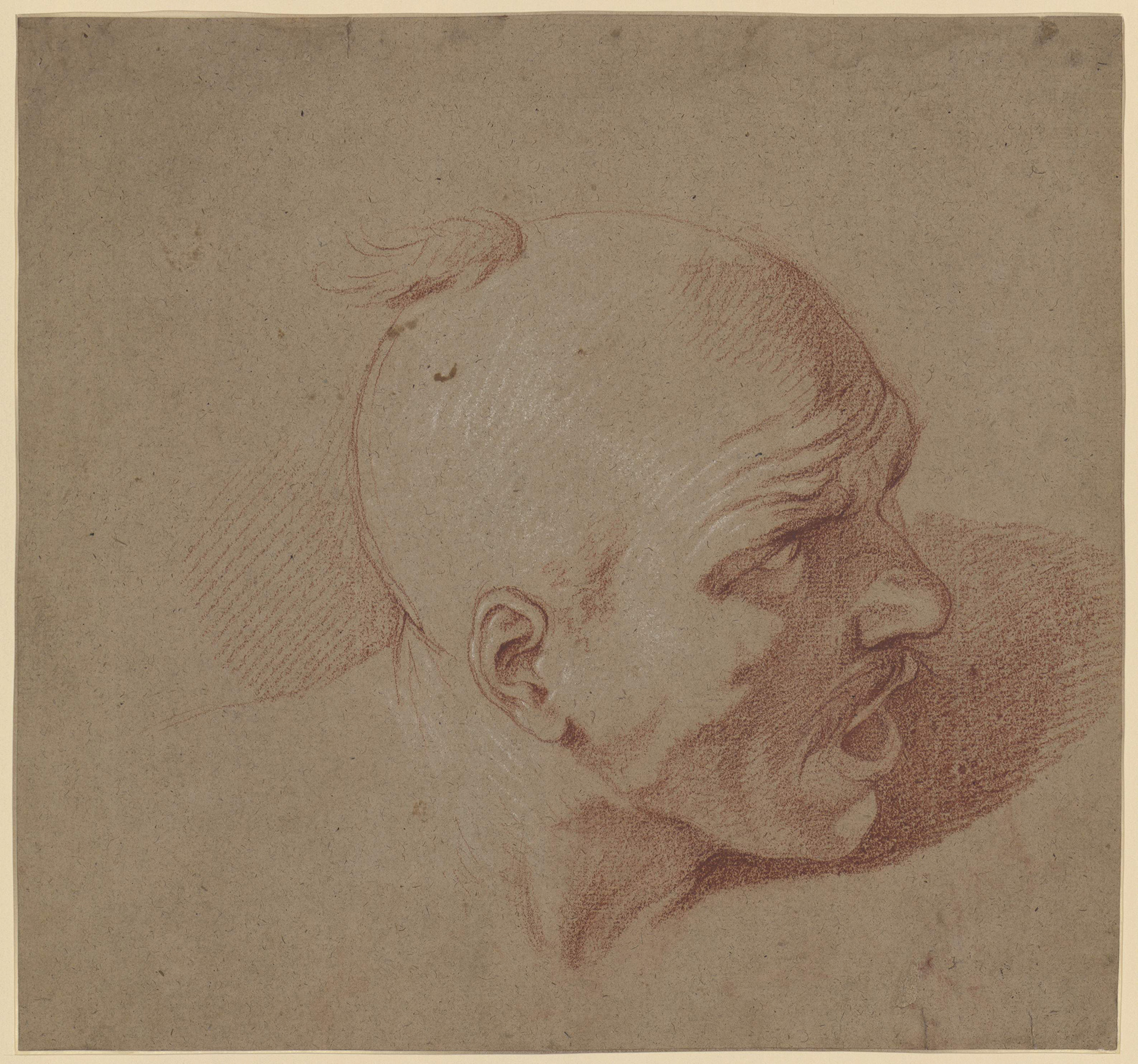 Les Musées de Marseille — Charles Parrocel, Tête d'oriental, inv. 1990.1.1