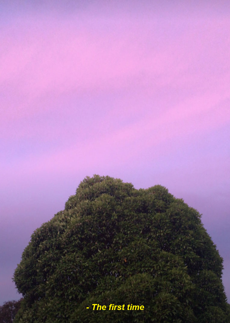 Awake III, from the journal: Where the rays of sun hit in the morning (2017-2018)