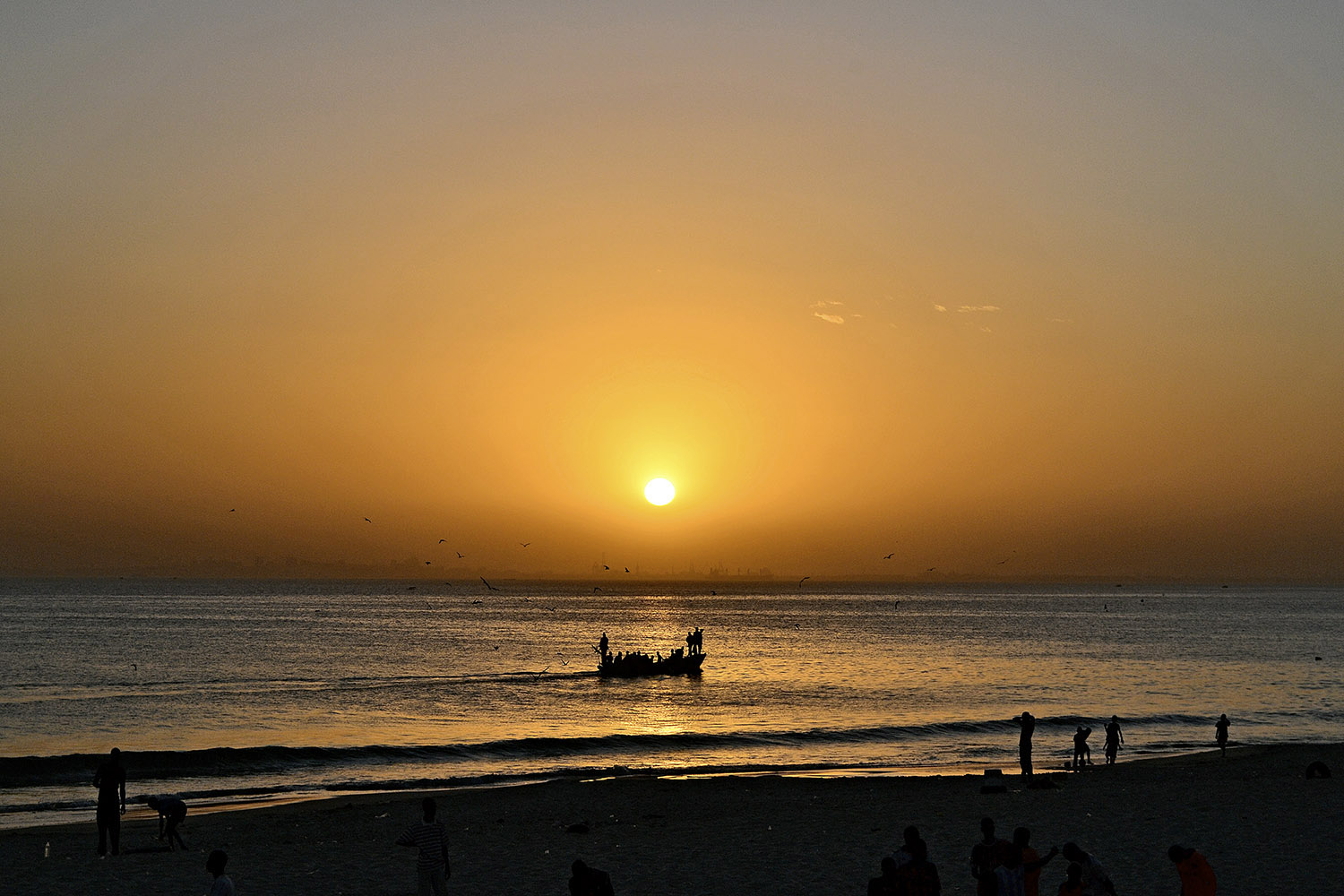 Kukka Ranta: sarjasta Ryöstetty meri / Robbed Sea