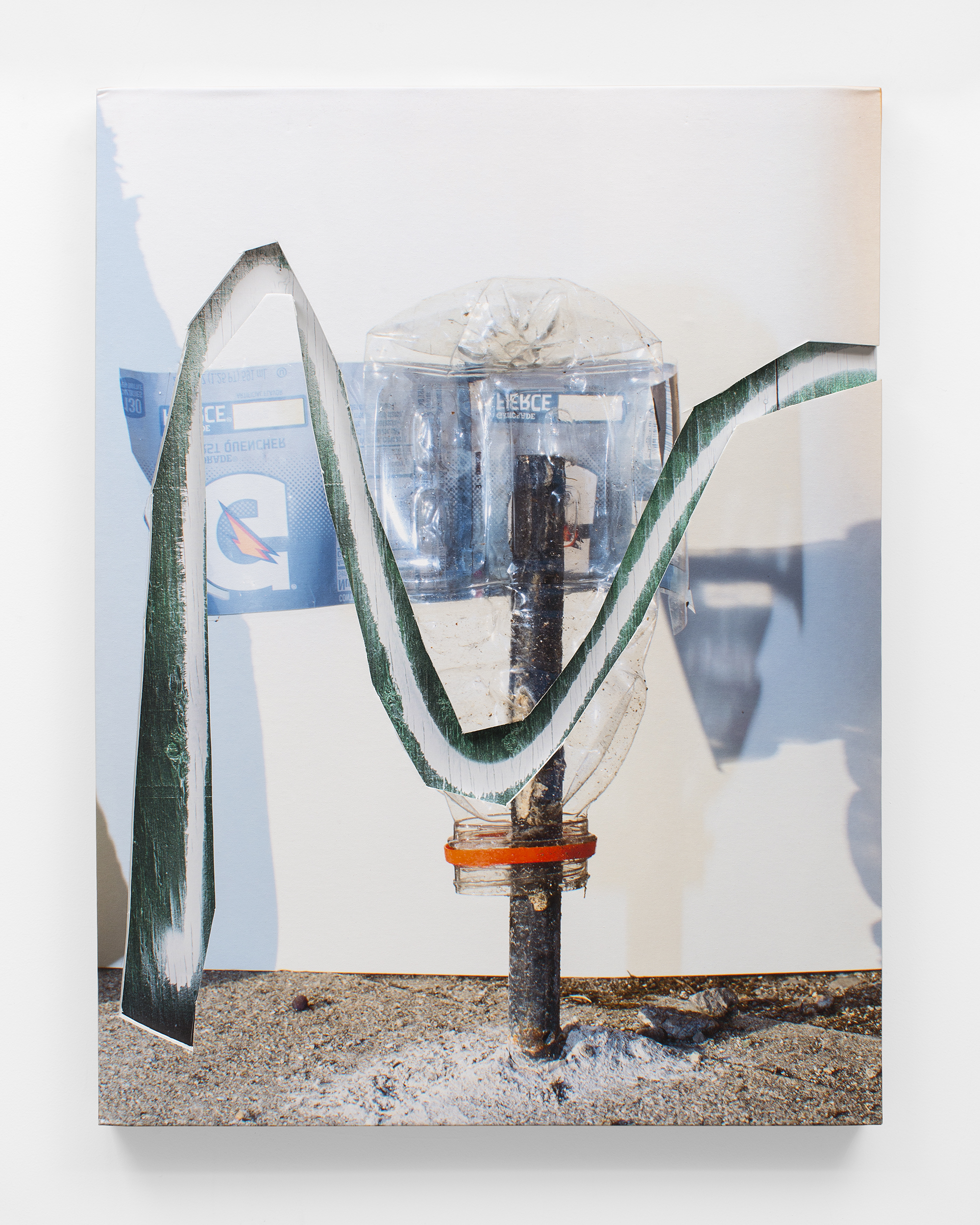 David Brandon Geeting, Fierce Transparent, 2015