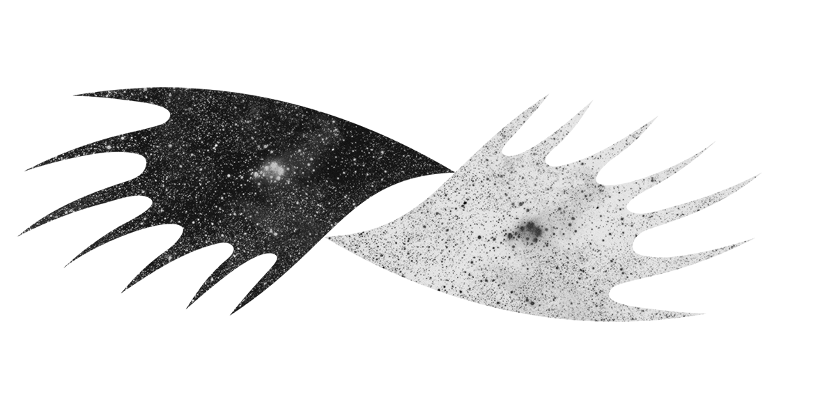 New Rural, illustration