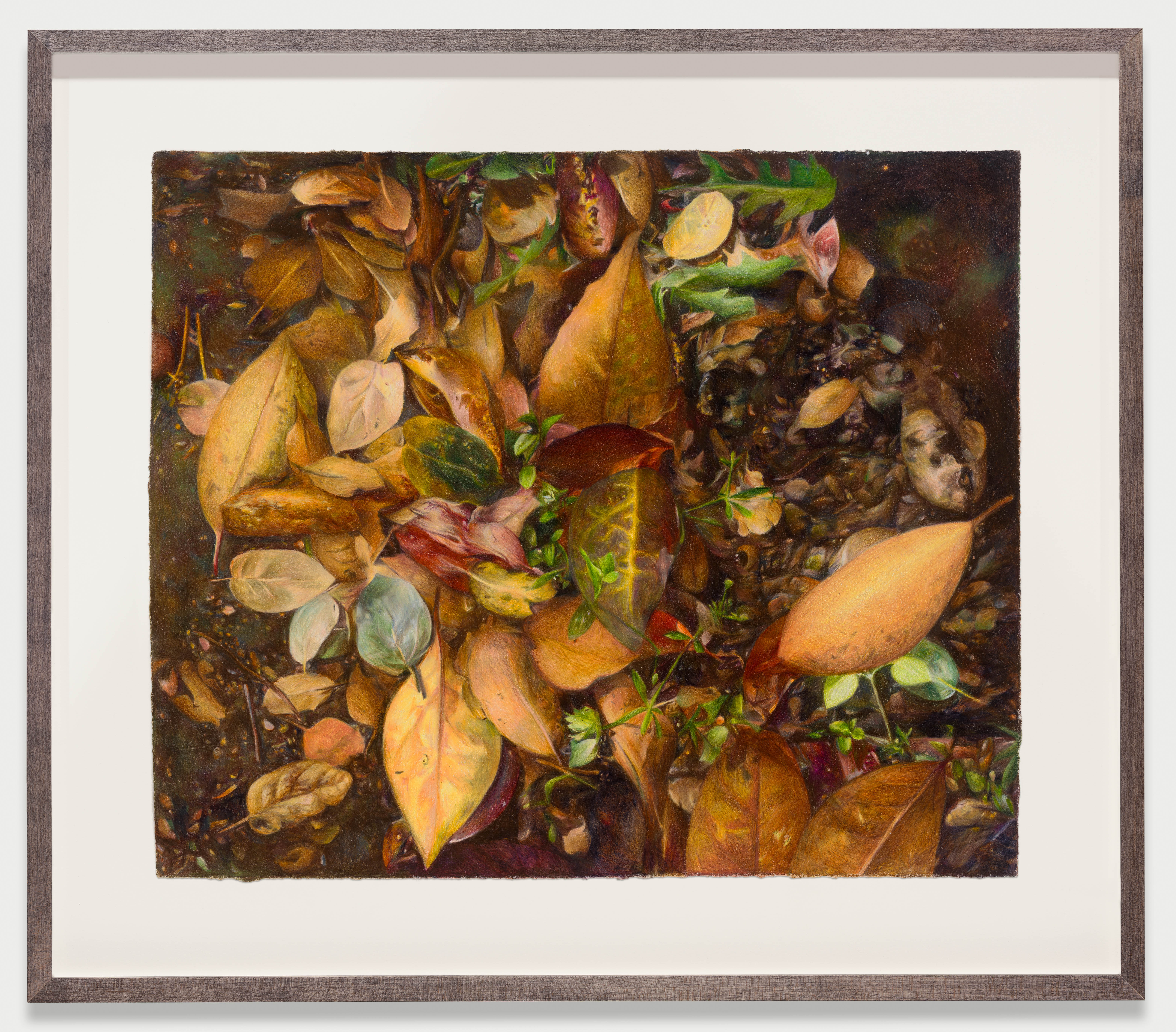 Untitled/Brown (2025) colored pencil and varnish on paper, 12 x 16 in