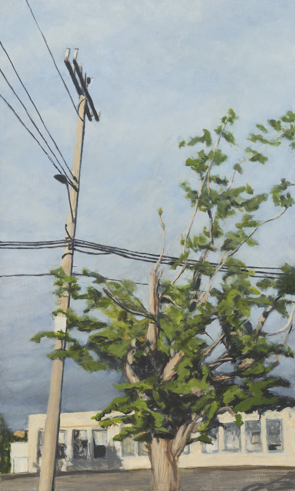 Molly Magai, School Tree, 2025, Oil on panel, 12 x 20 in.
