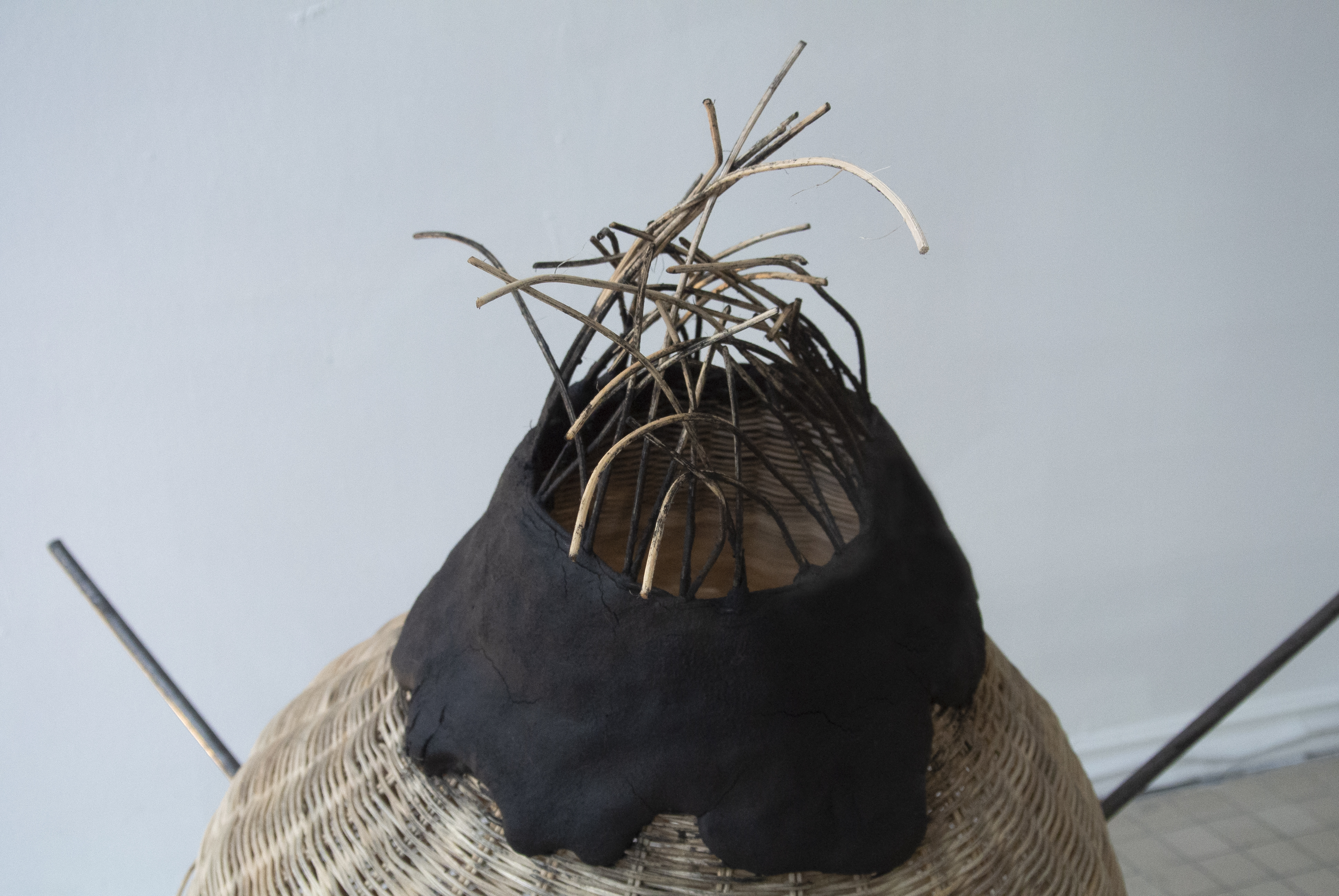 Baskets Blighted (2021)