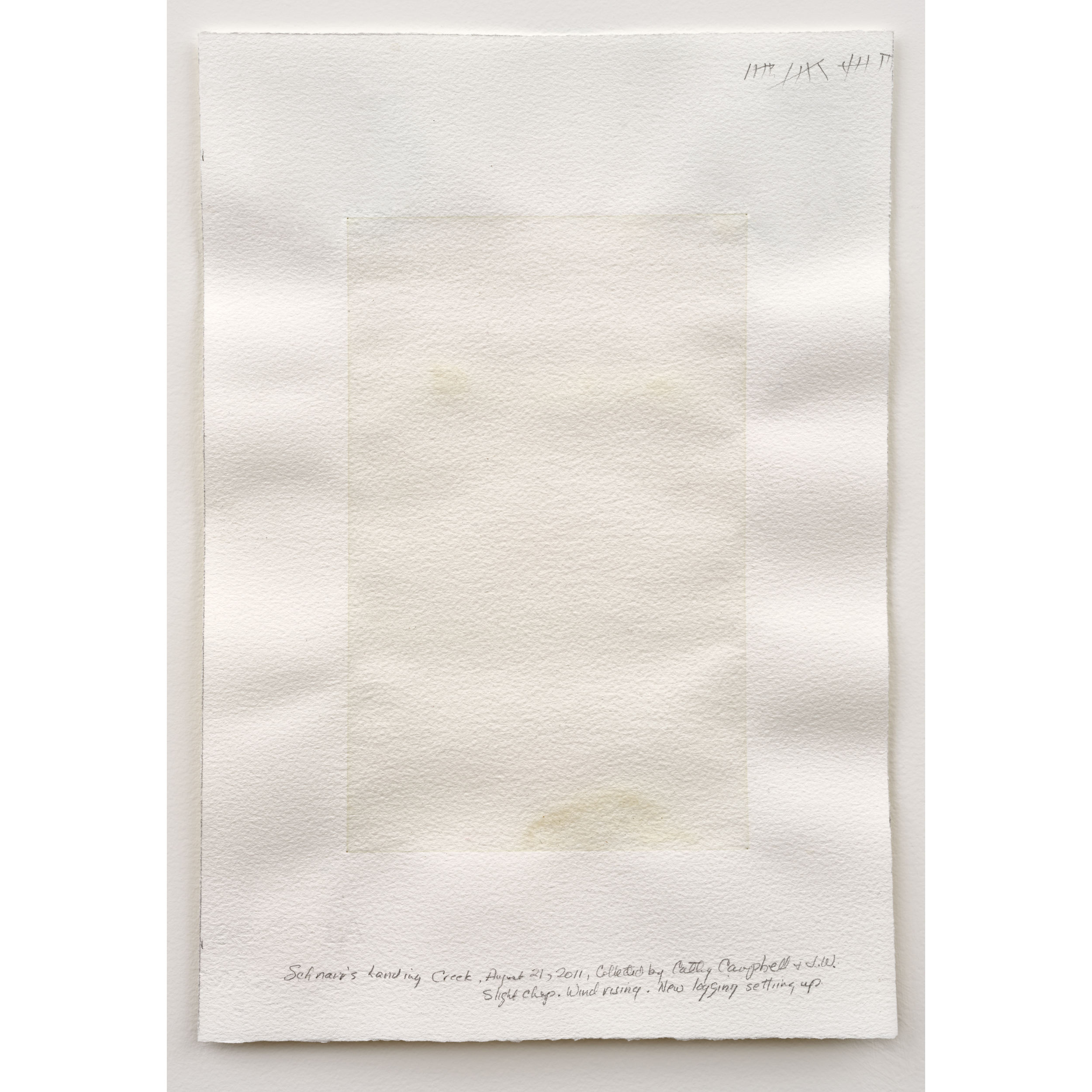 Judith Williams, Schnarr's Landing Creek, 2011. 35 x 24 cm / 13 3/4 x 9 1/2 in . Creek water on paper (20 layers). Collected on August 21, 2011 by Cathy Campbell. "Slight chop. Wind rising. New Logging Setup."