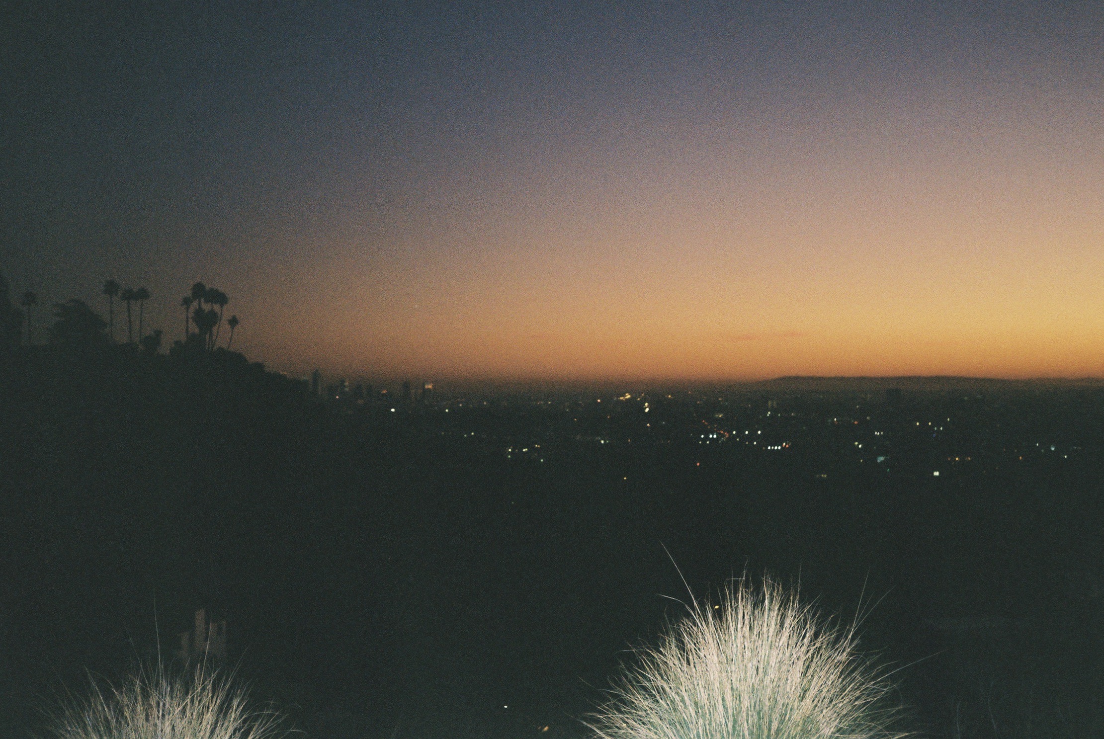Griffith Park, Los Angeles, CA 2020