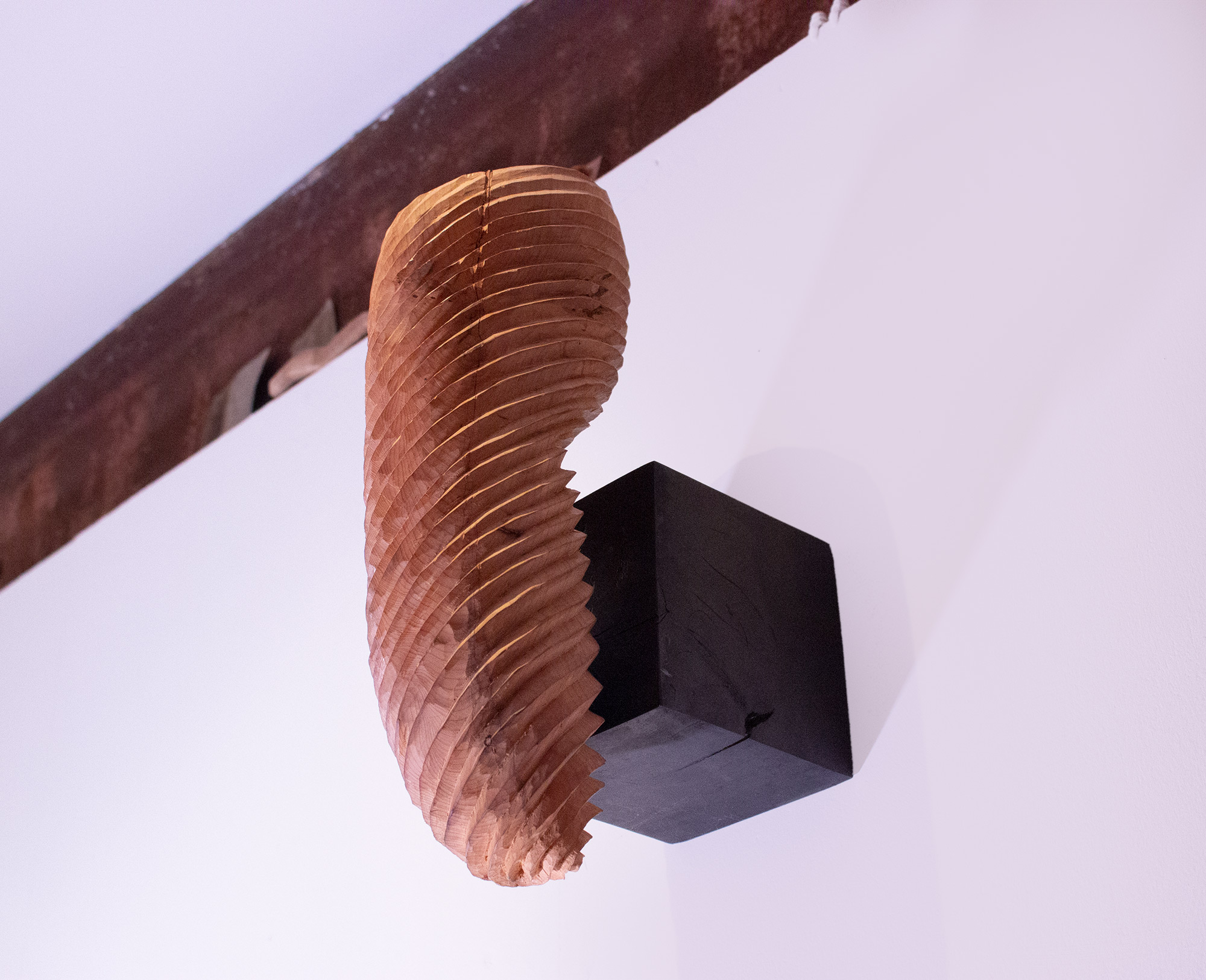 Appendage, Yew wood 18” high