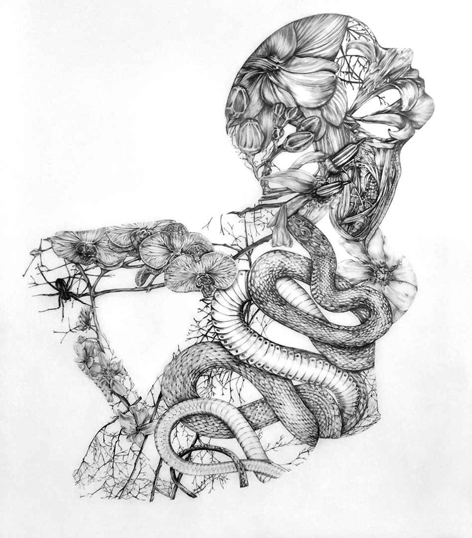 She Lifted Up Her Wings, 2018