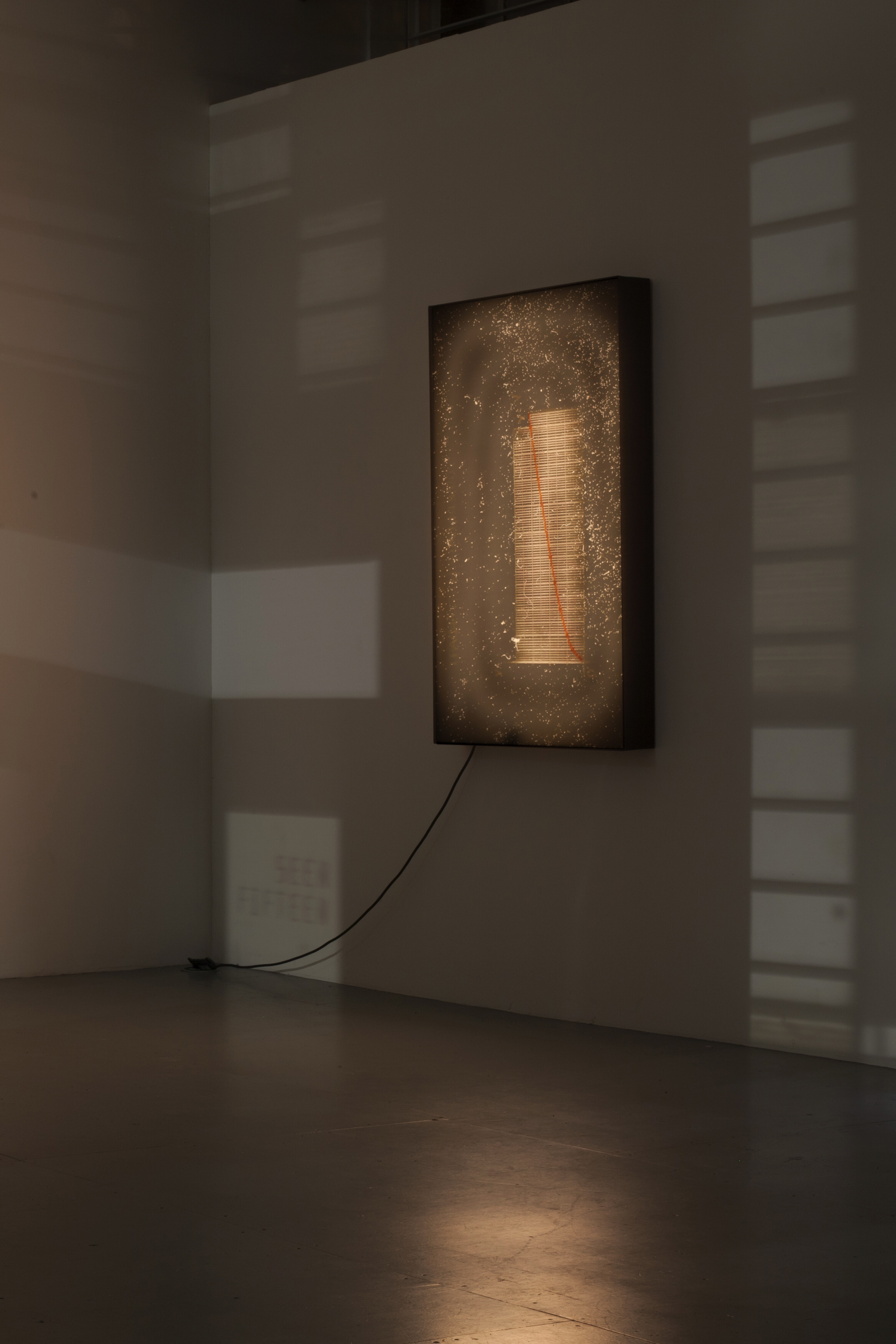 950 x 1420 mm, inkjet print on vinyl, perspex, pine wood light box  Installation, F O R M, Revolv Collective exhitbition, Seen Fifteen, Peckham, 2020