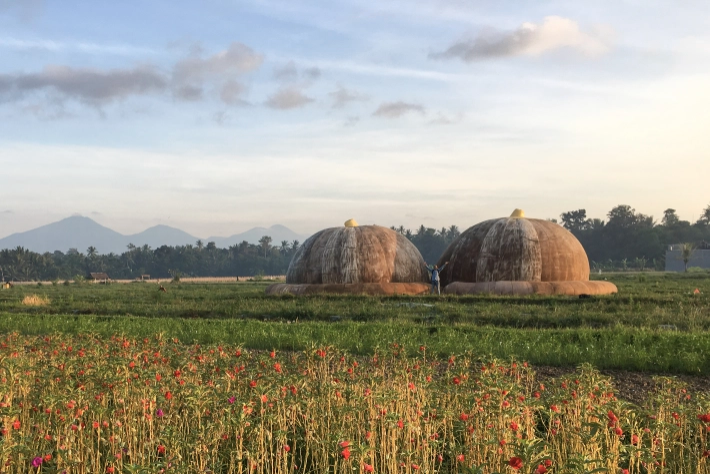 Back to the Breast, 2017