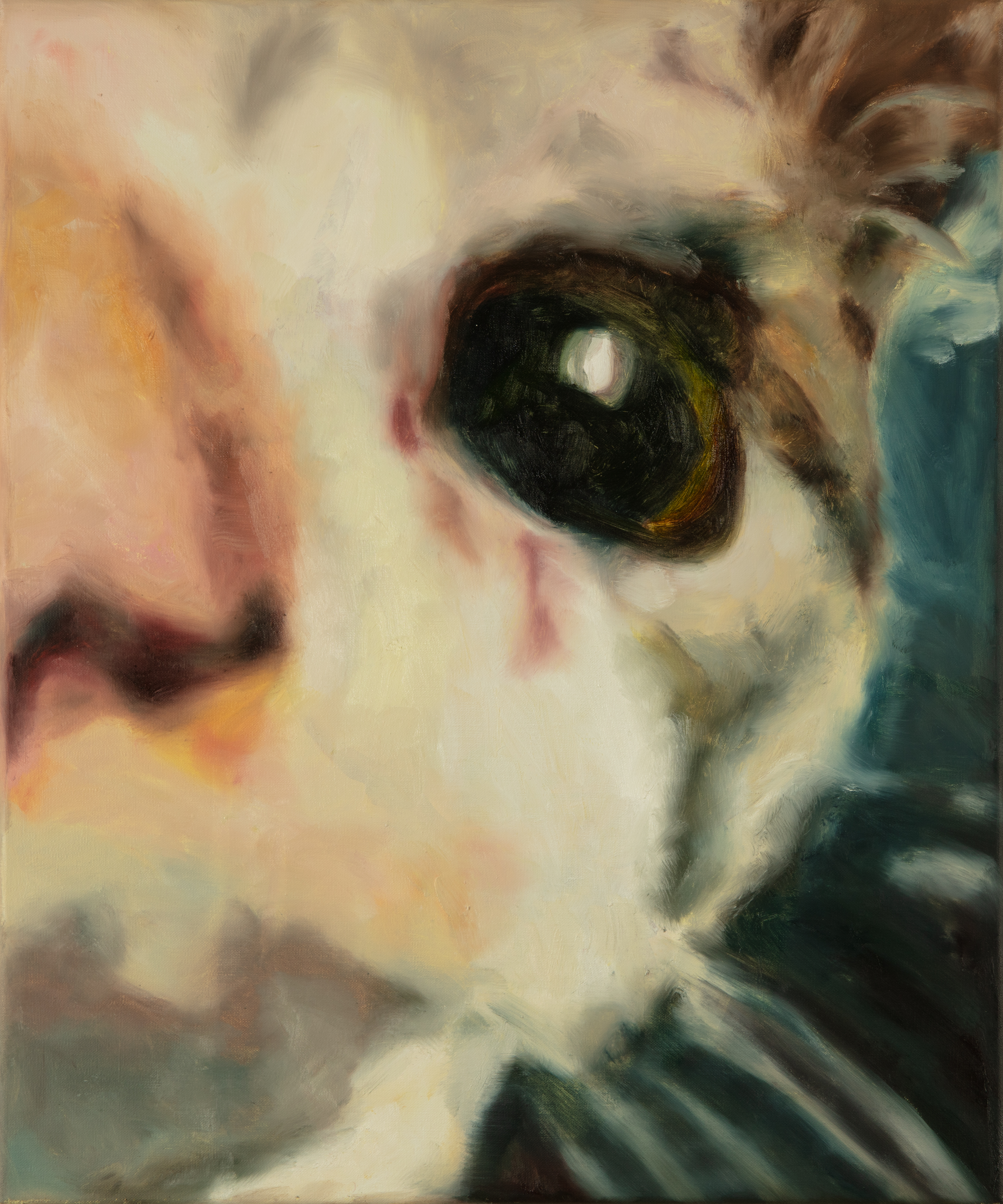 Untitled, Oil on linen, 60 x 50, 2023