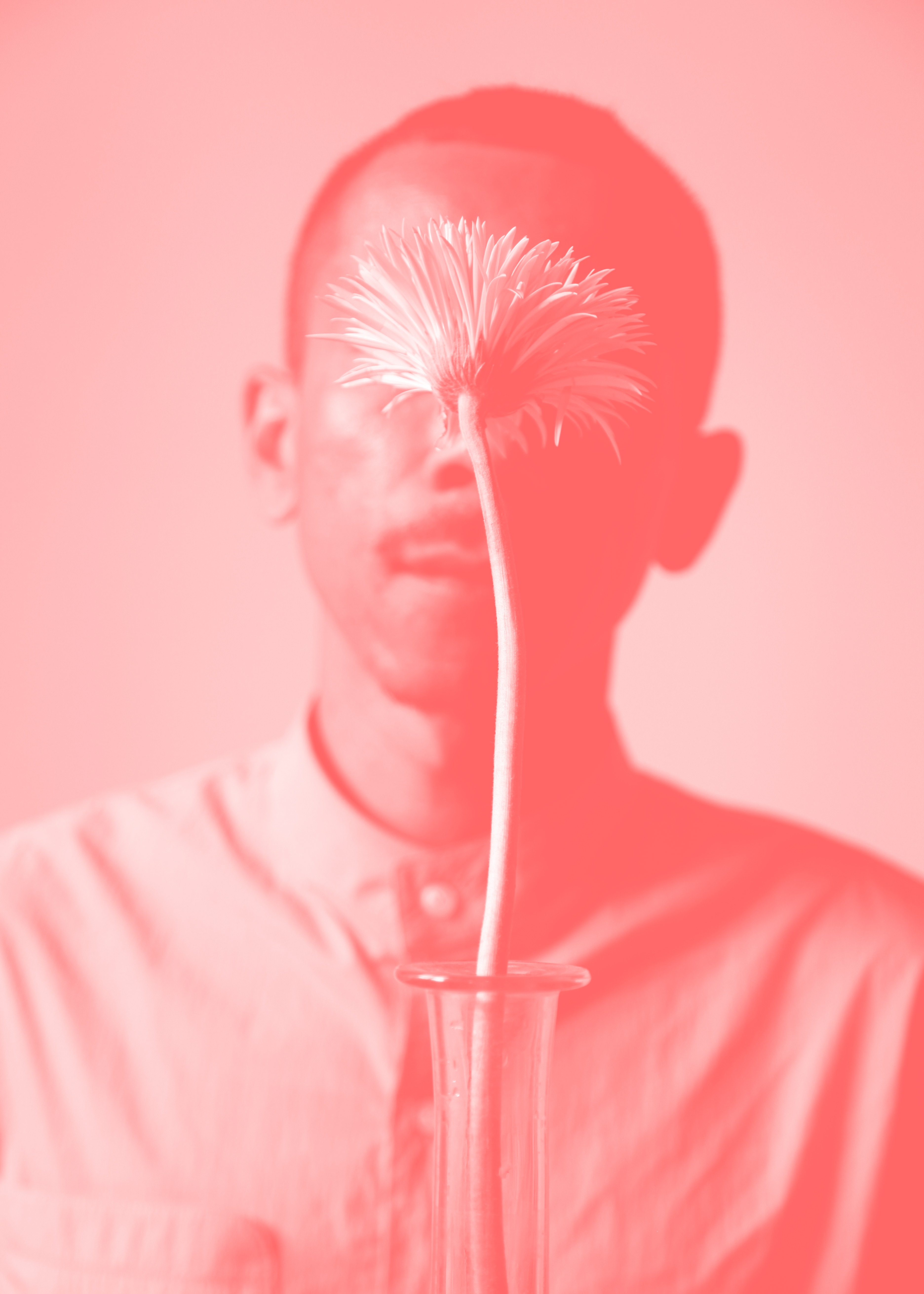 How to behold a flower, 2021