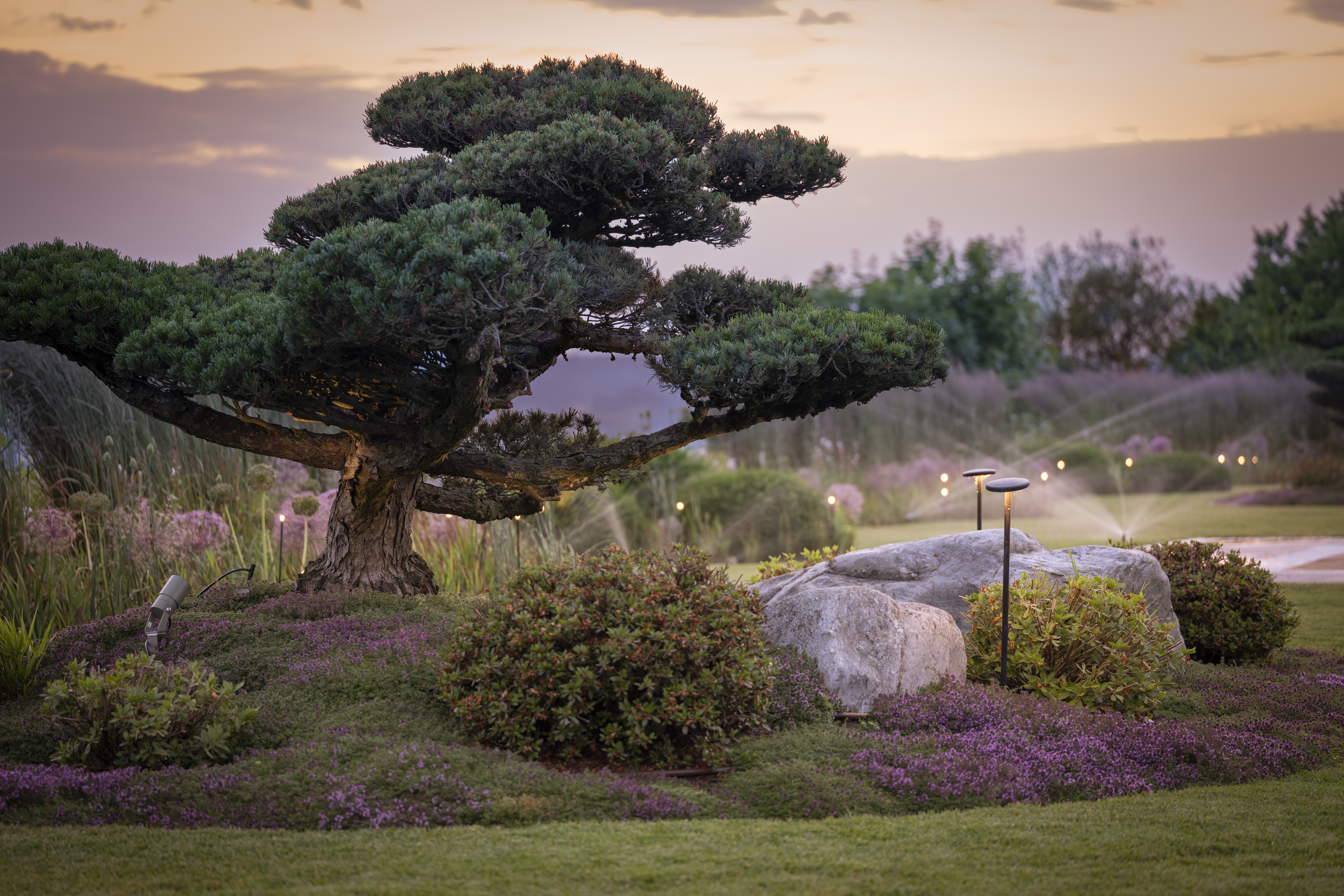 Foto Ausführung Gartenanlage