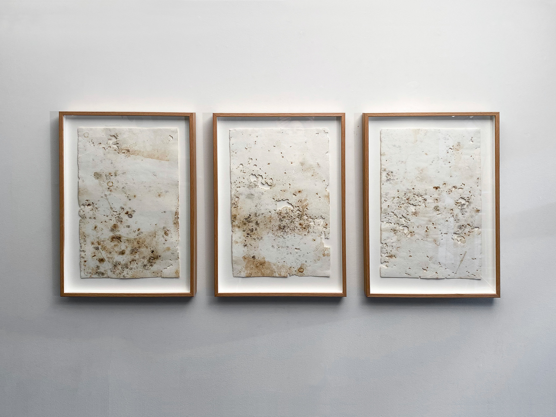 Companion Pieces (Tryptych) / Paper / 620 × 1140mm / 2021