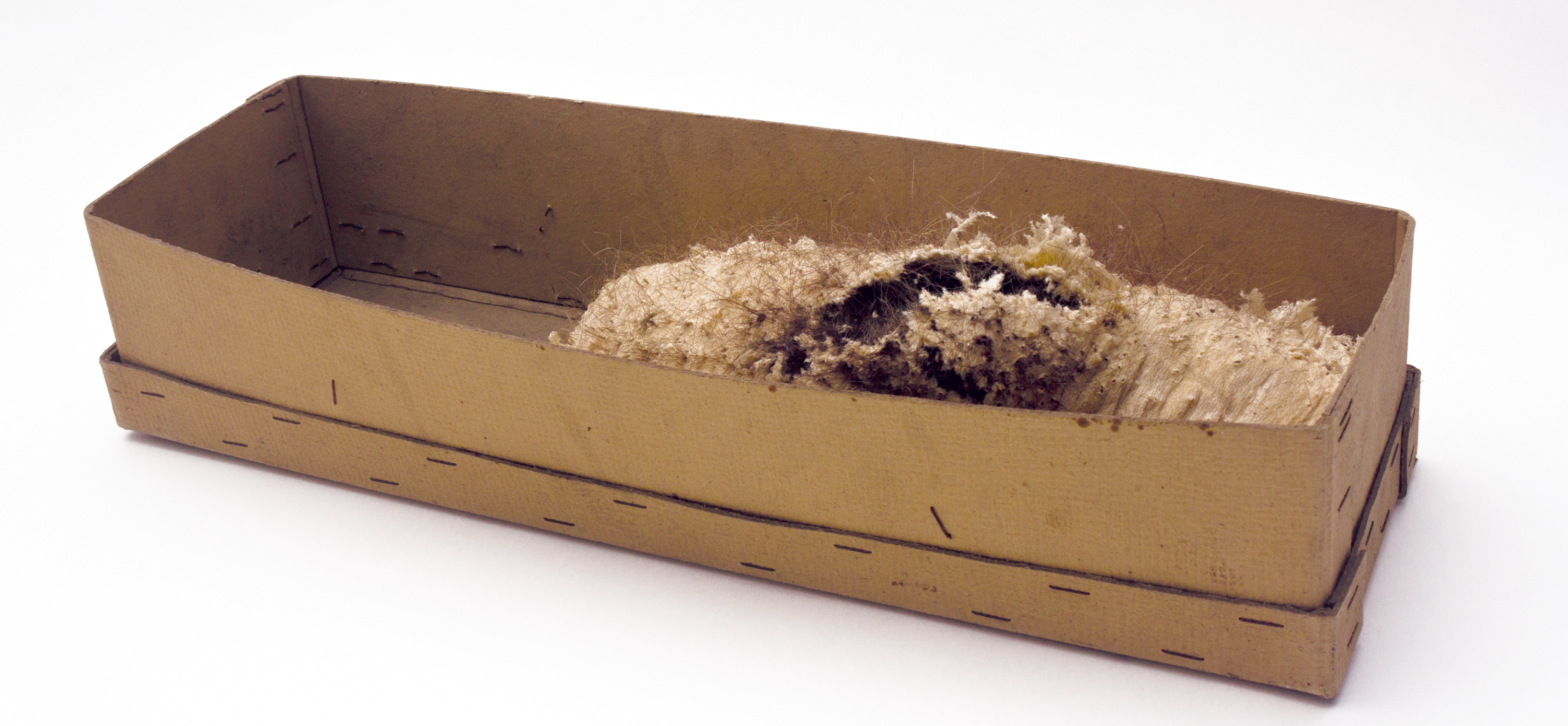 carapace 2011, cartonage, cellulose, human hair felted, ca. 53x18x11cm
