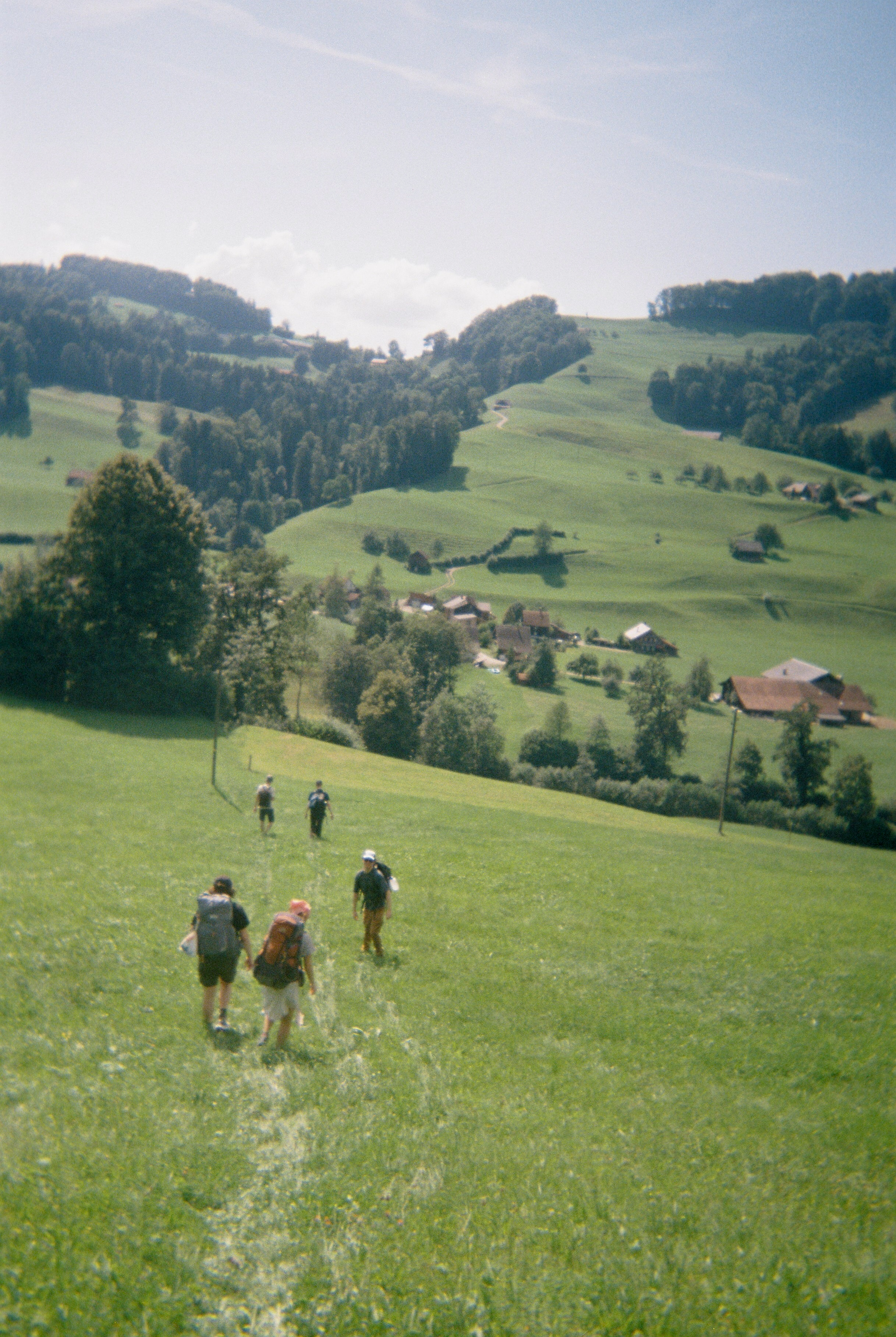 Following Robert Walser's steps, walking from Mogelsberg to Lichtensteig. August 2024. 35 mm photo, Matilde Igual