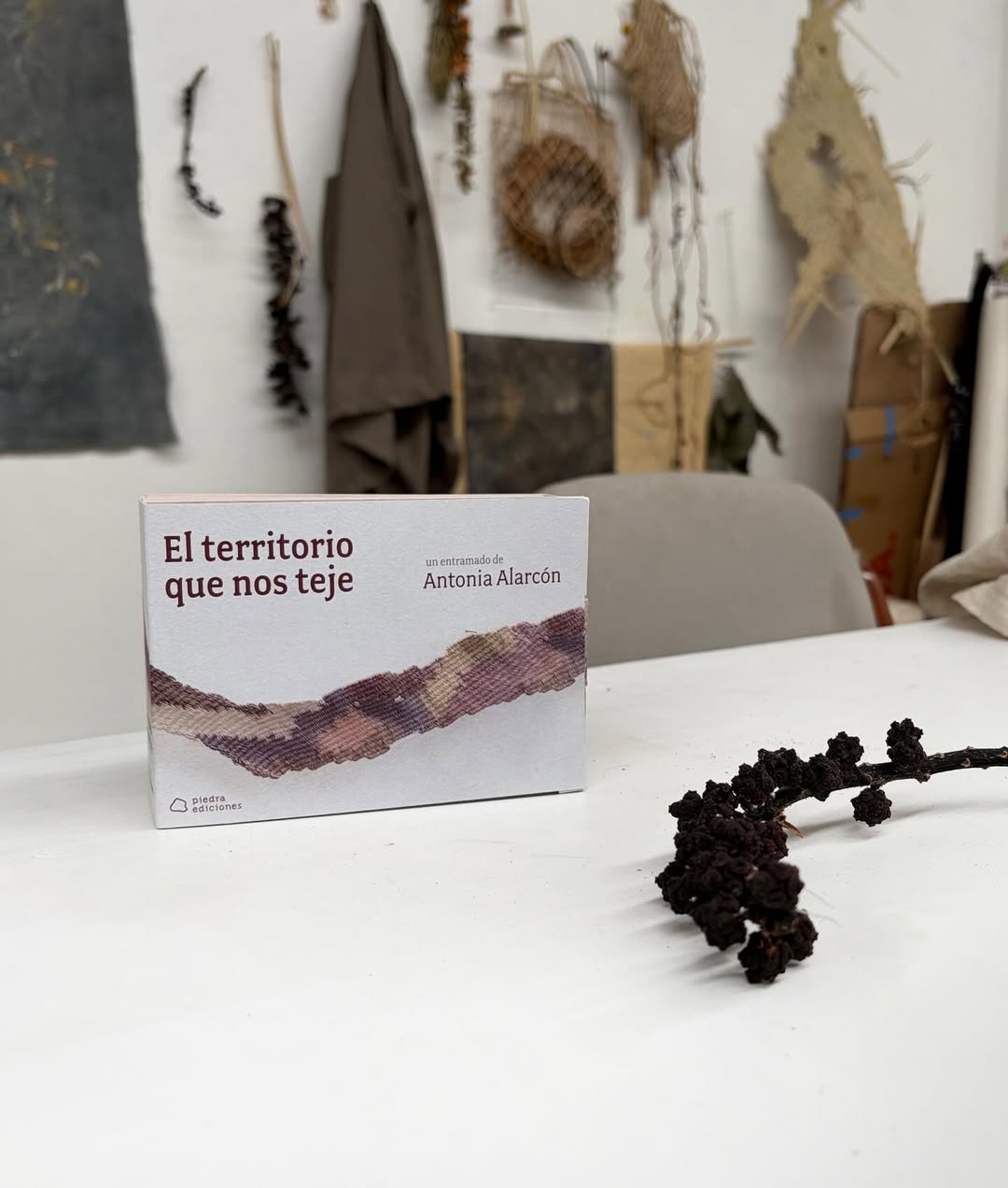 El territorio que nos teje__ Publicaci&oacute;n