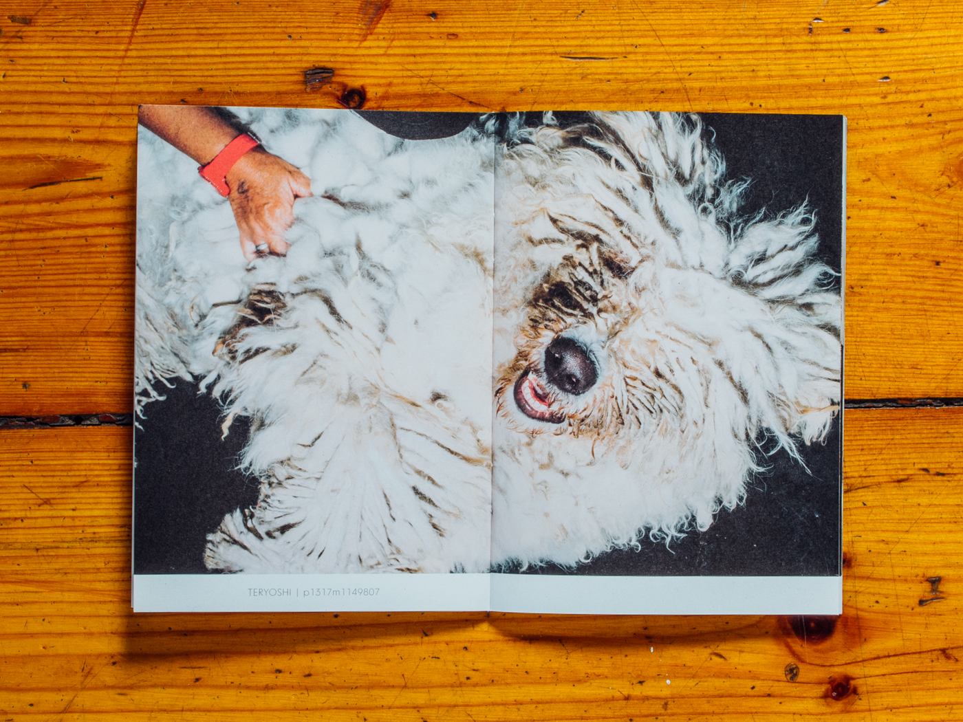 Plainpicture / Brosch&uuml;re / April 2018