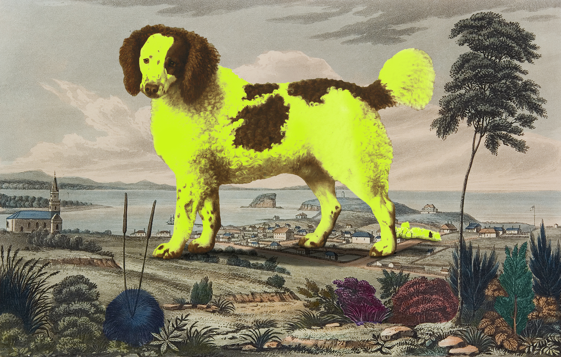  Who is gonna clean up this mess?