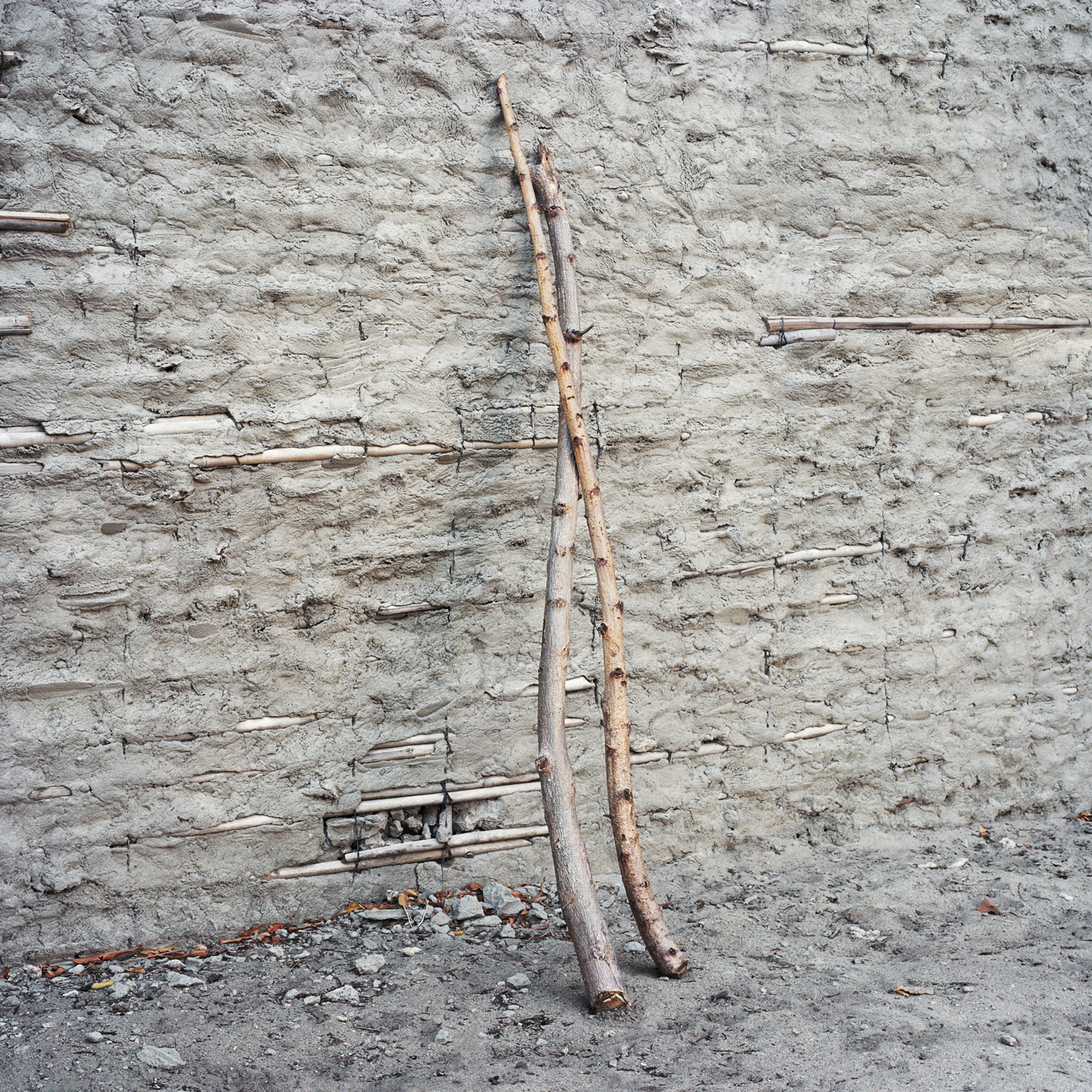 Mesh, Ibo Island, 2014