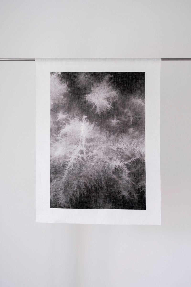 Analog underwater photography  30x45cm  Linen