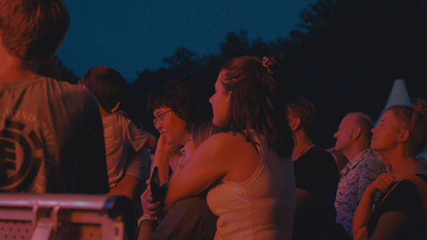 GOLDEN LEAVES FESTIVAL | FILM - editing - colorgrading