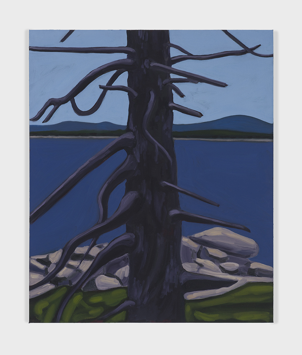 Mt. Desert Island30"x24"